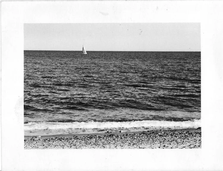 Barna VIII