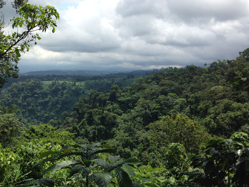 View from the mirador.