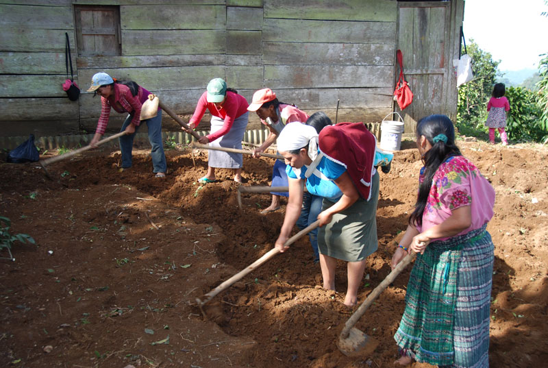 Women preparing the land for the garden