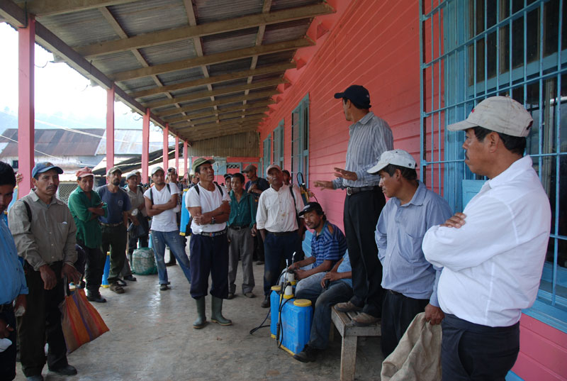 Timo, one of the veteran San Miguel farmers, trains some of the Santa Anita coffee farmers about roya.