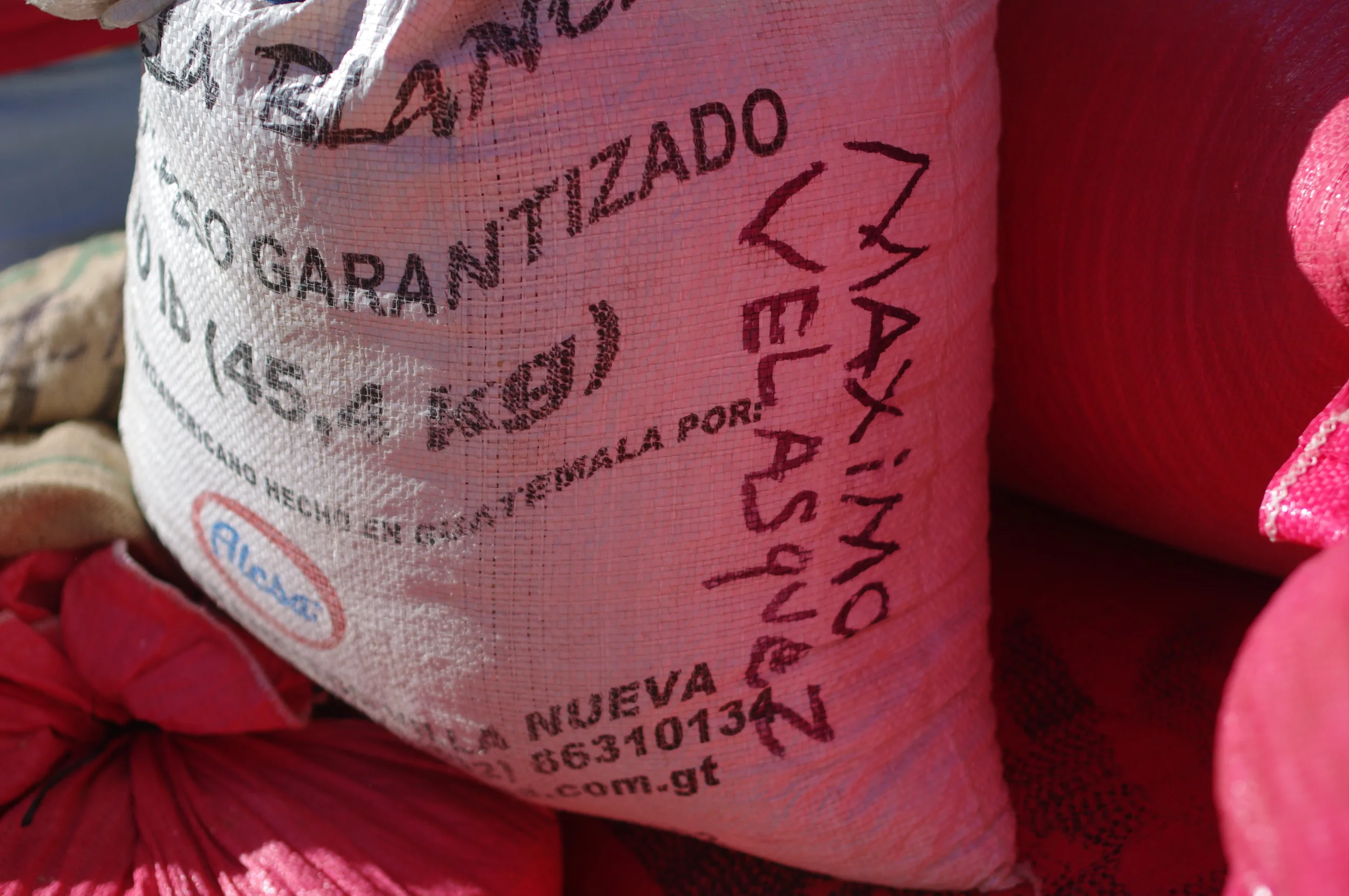 Parchment coffee from farmer Maximo Velasquez. Each bag is separated by producer to maintain quality.