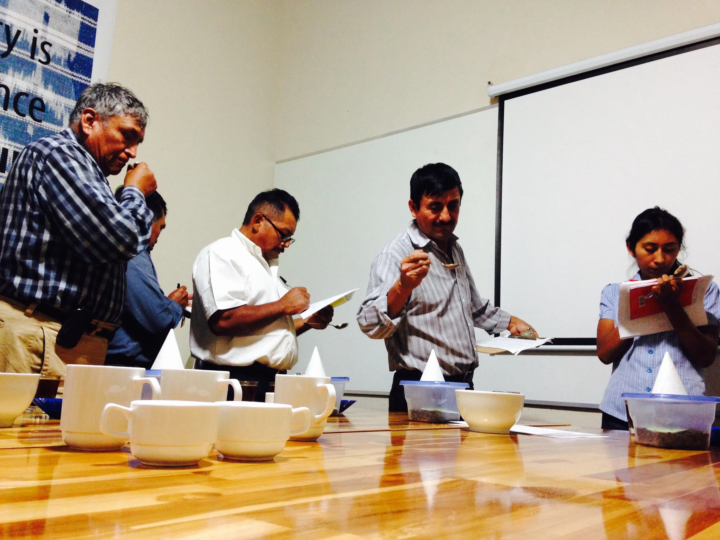 Farmers cupping.jpg