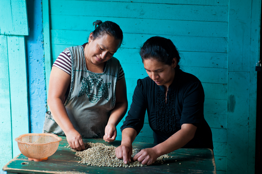 Virgilia & Lesbia sorting green coffee for export