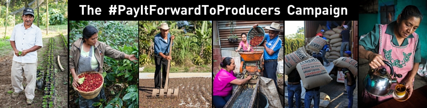 Join us in making the coffee industry more equitable and accessible for smallholder farmers by donating directly to the cause, buying a bag of DLG coffee online and adding a donation to your order , and spreading the word to your family, friends and colleagues. Together we can make positive changes.