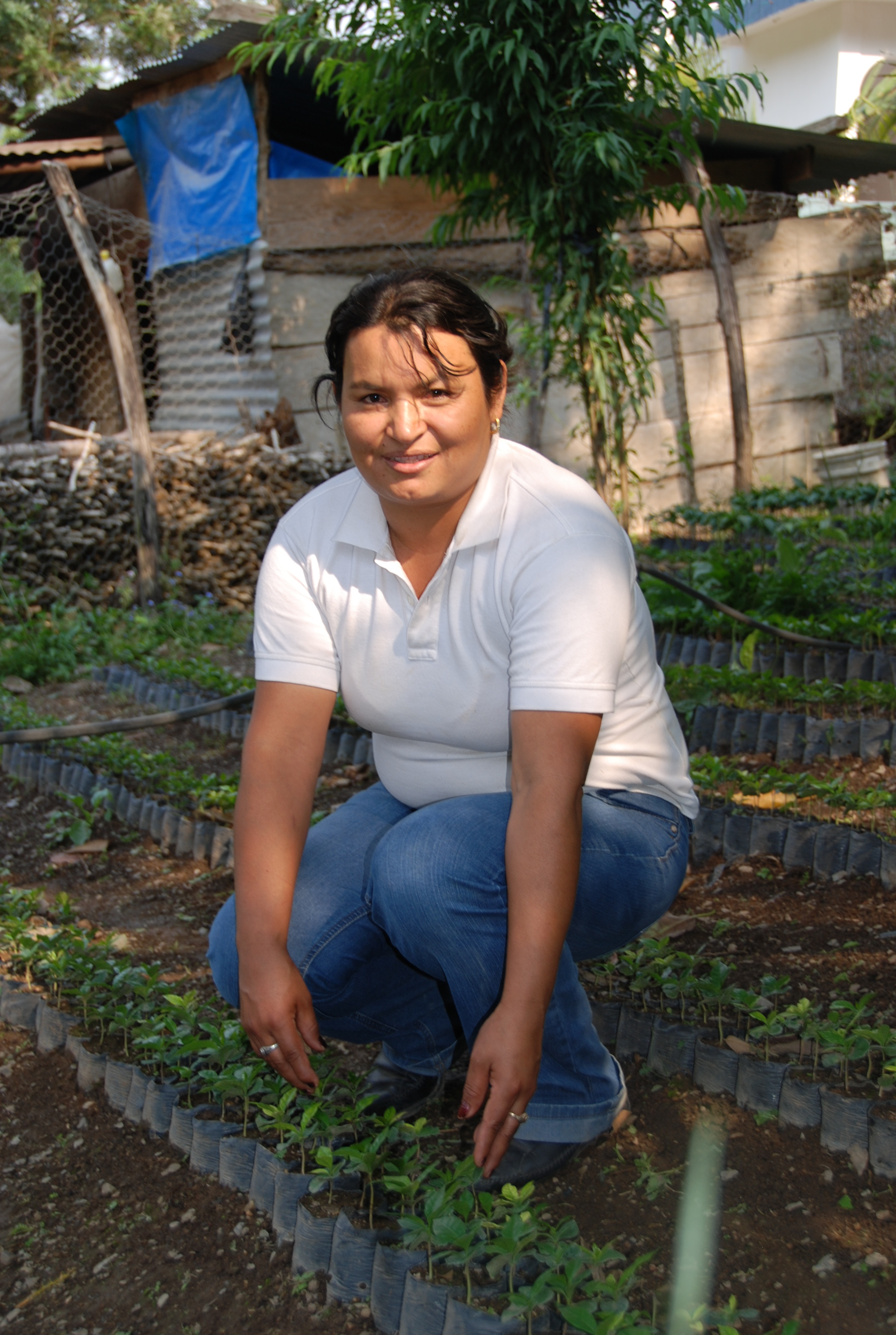 Orfa leads UPC's women's group, here she is pictured with coffee plant seedlings.