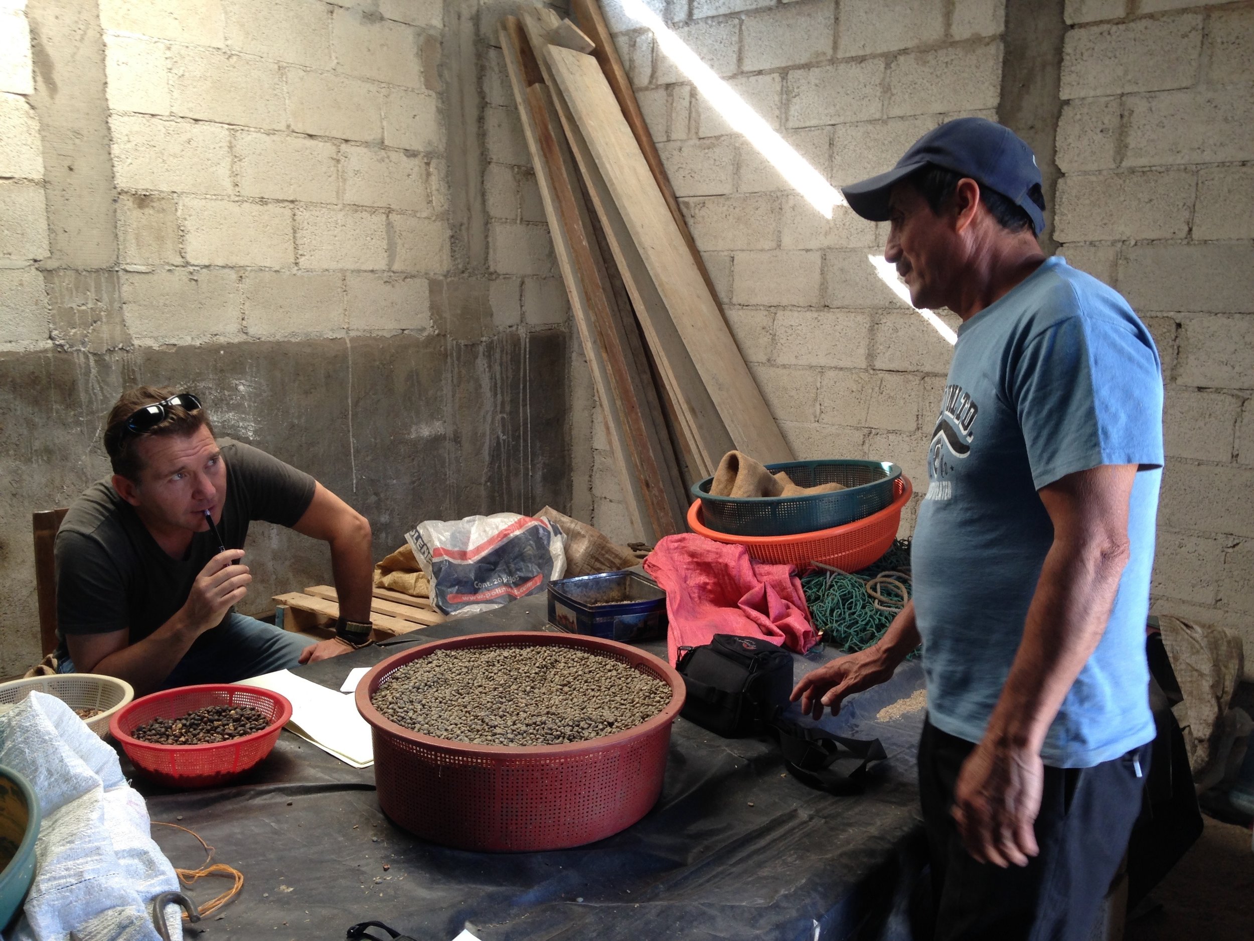 Green Coffee Guatemala