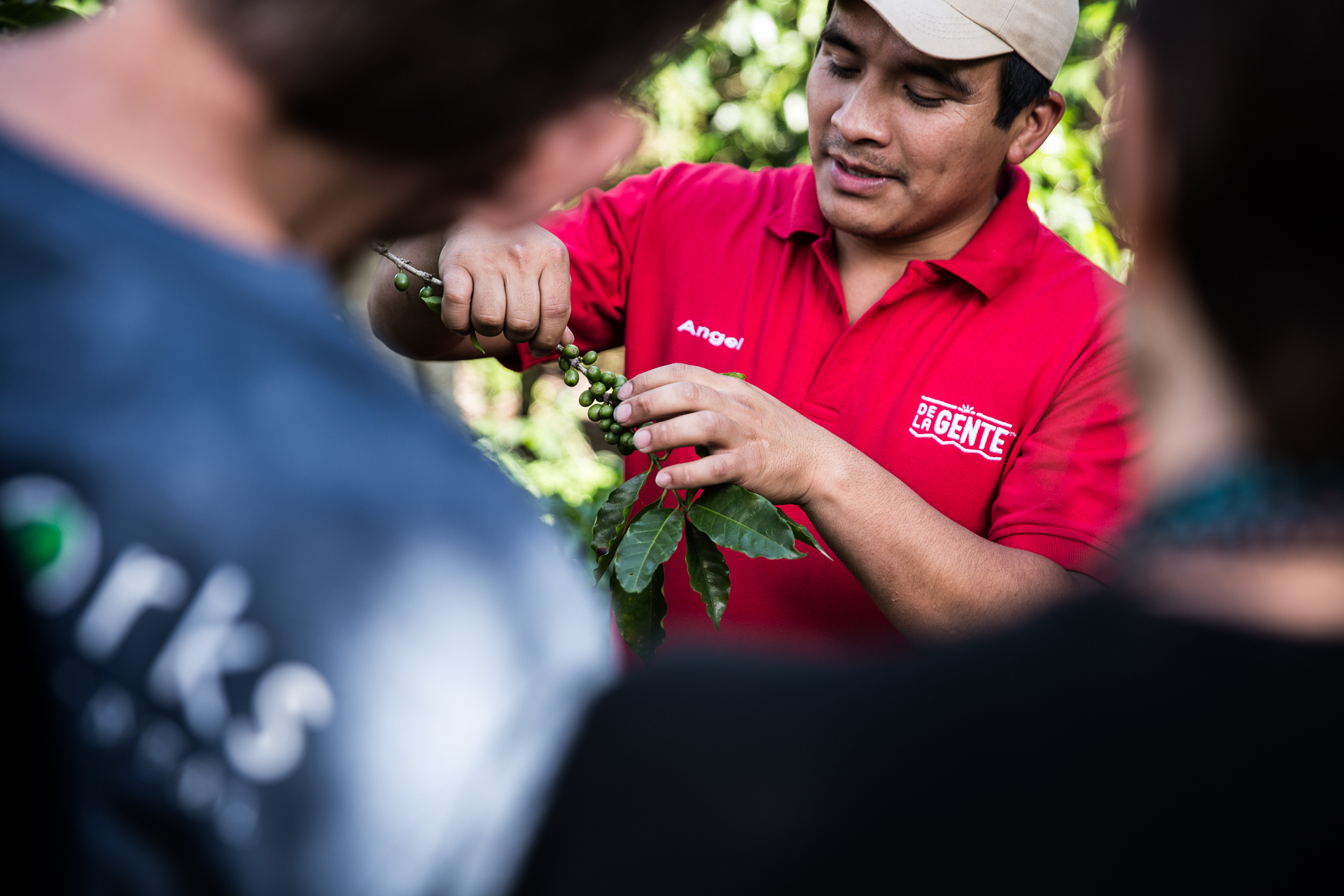 Coffee Farmer