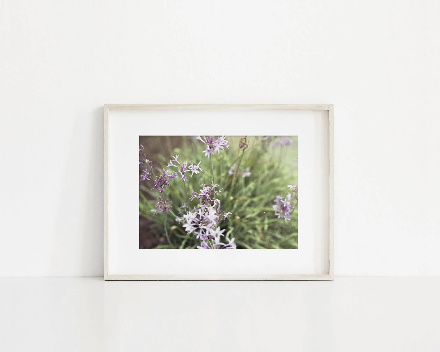 5x7 Print - Pasadena Garden.jpg