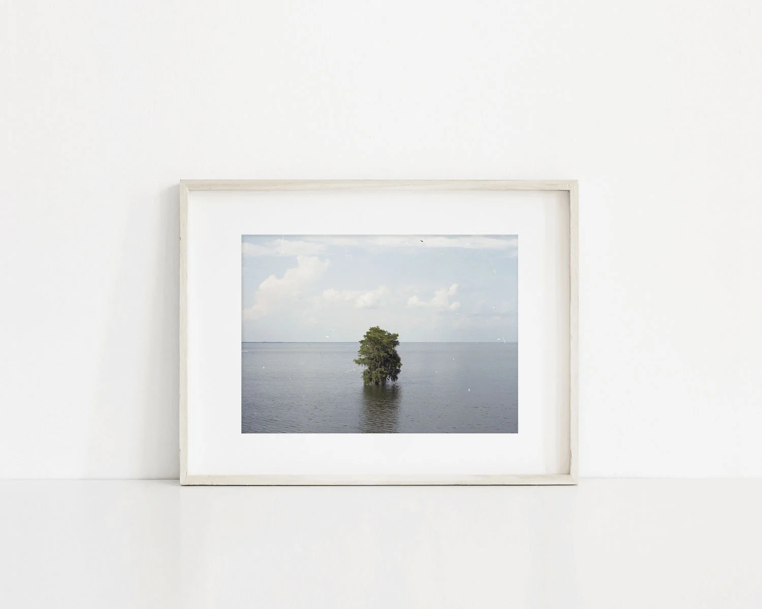 5x7 Print - Lake Moultrie.jpg