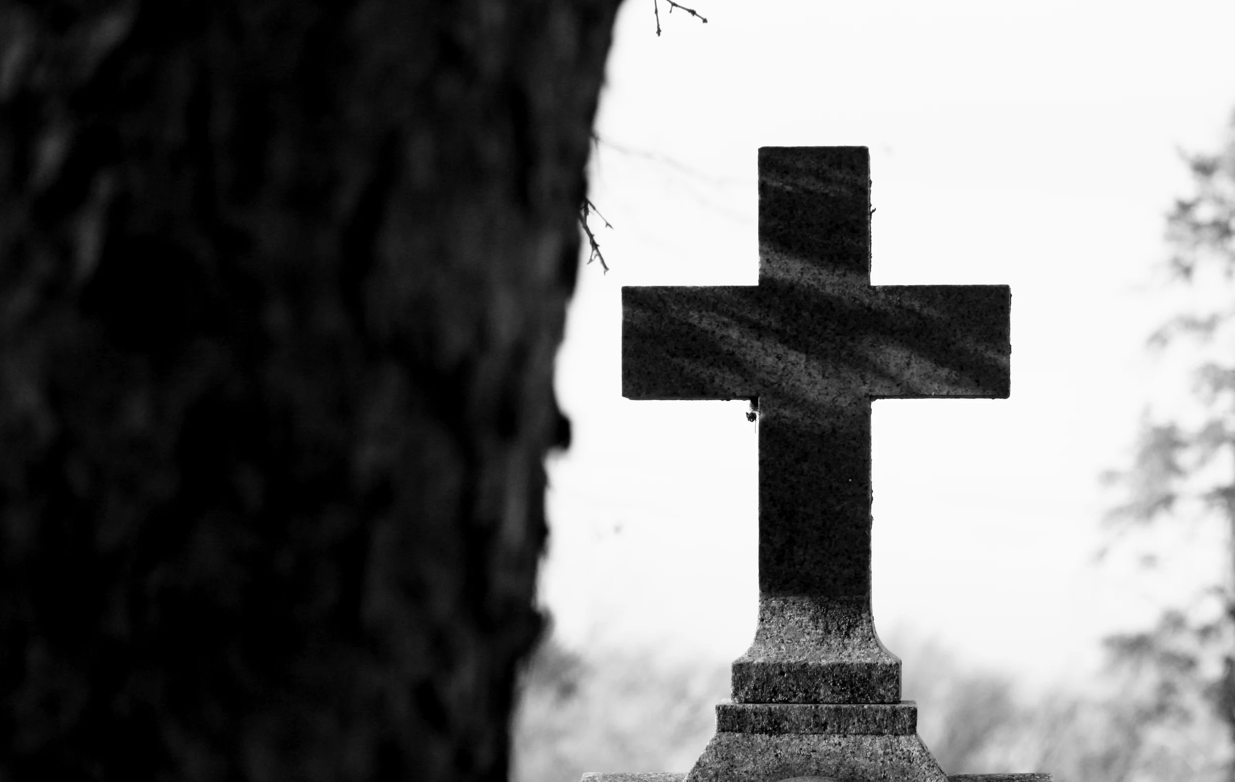 Lent: A Journey With Jesus - Mar 4 - Apr 20, 2025