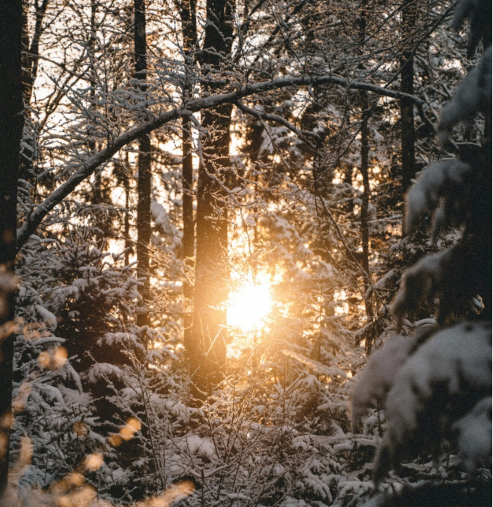 We're Gathering on Sundays at 10AM