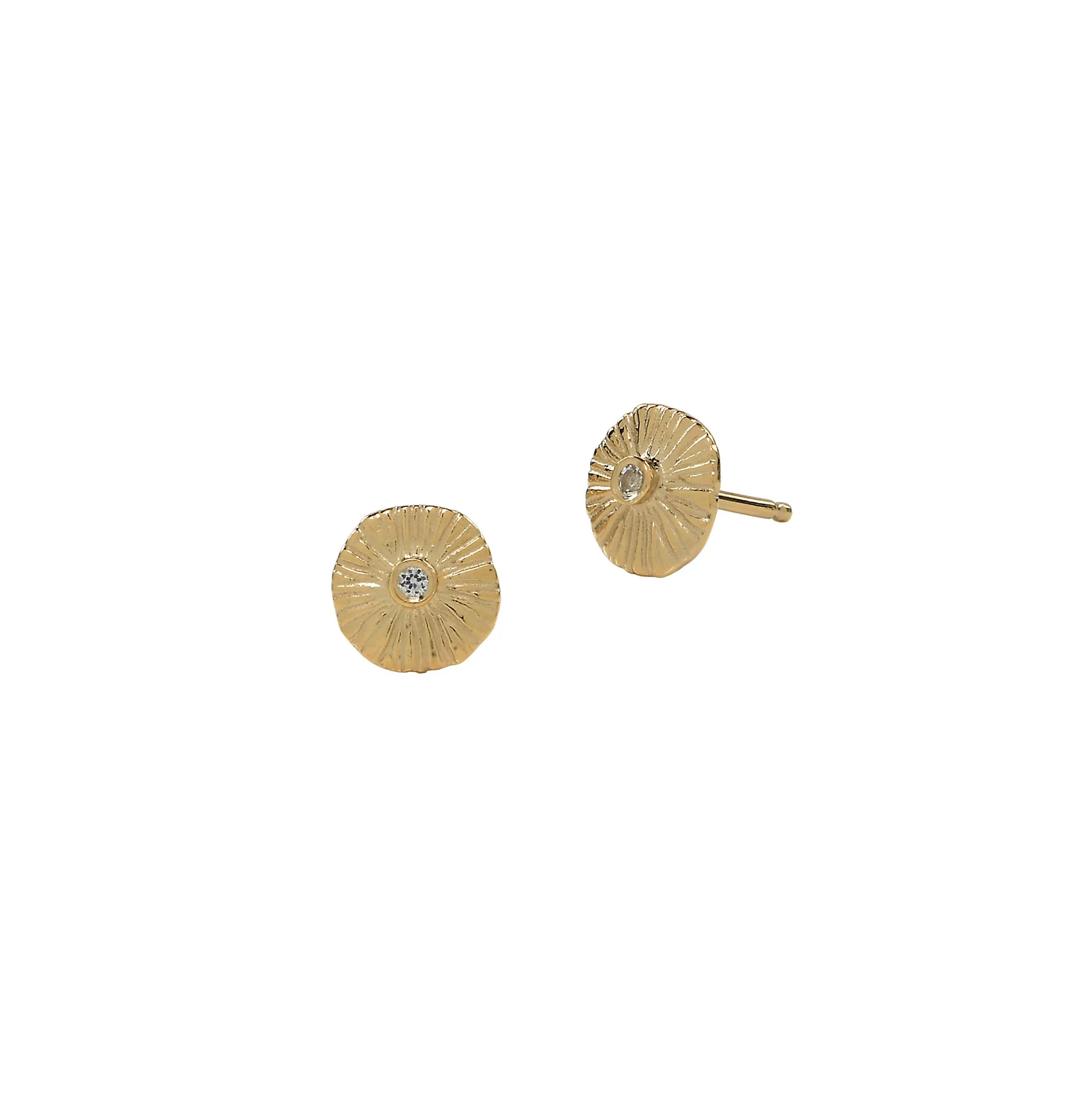 ASTER STUDS.jpg