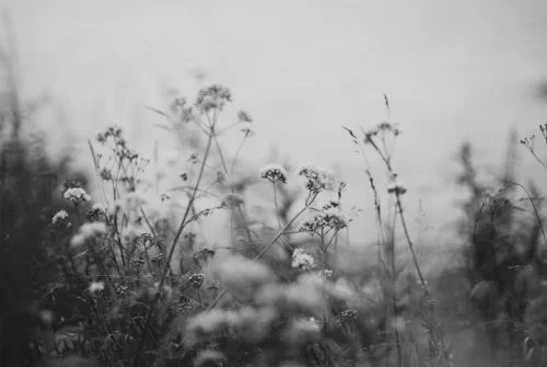 IMG_7950+(1).jpg