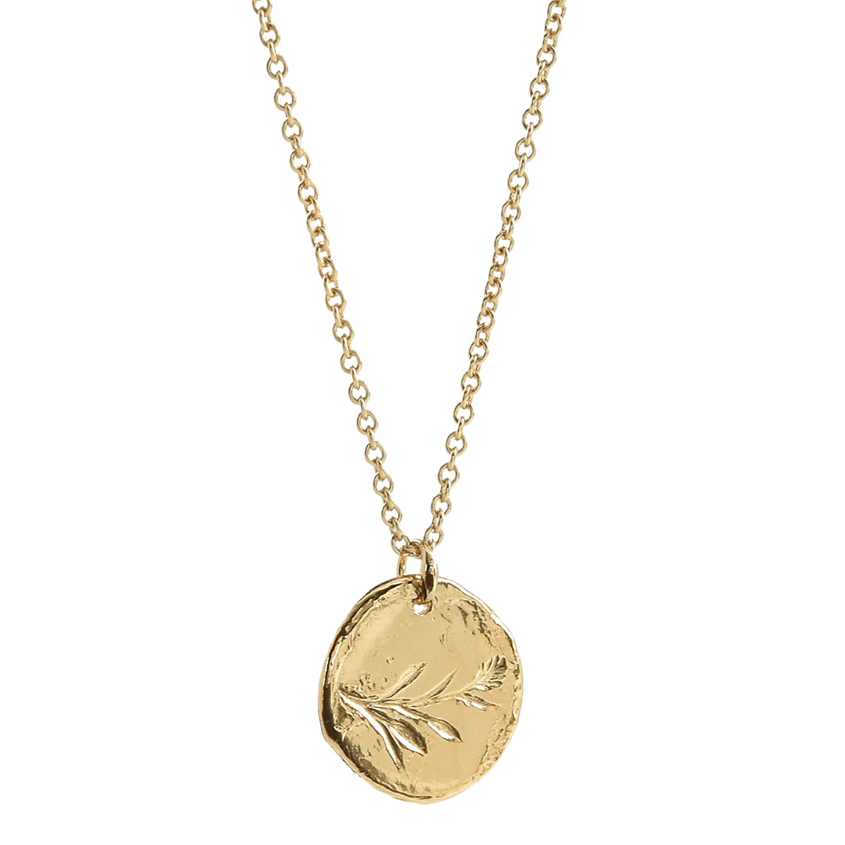 PASTURE AMULET