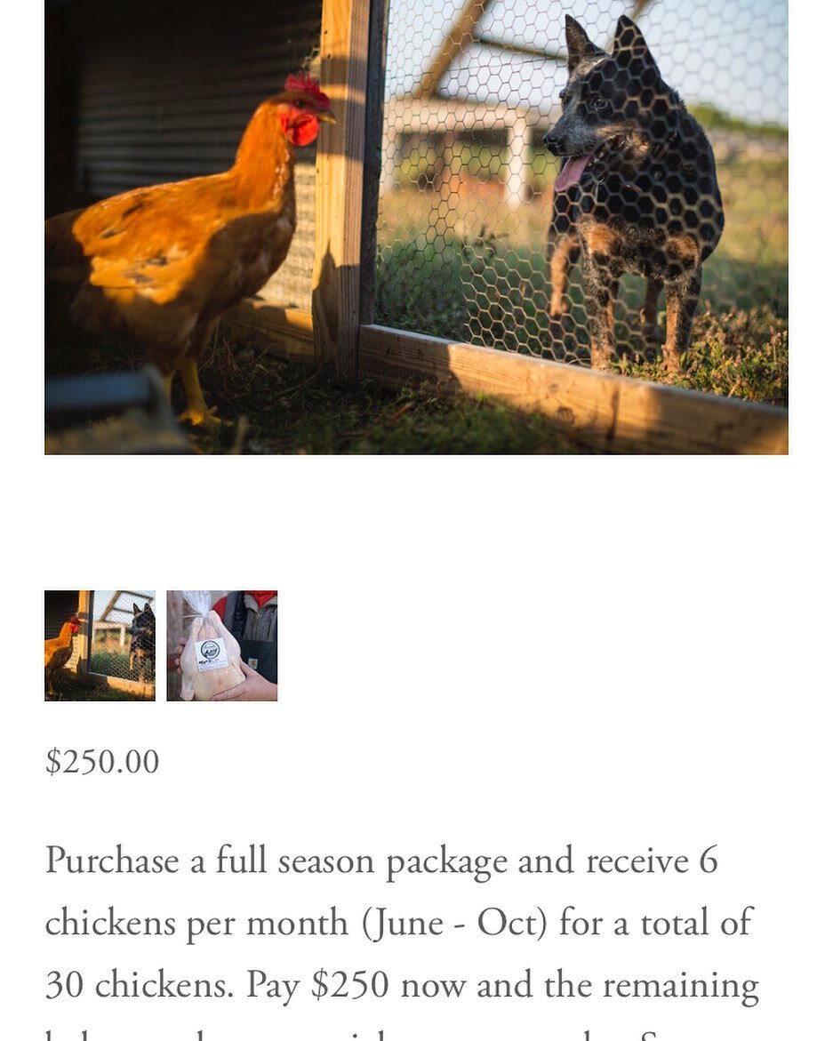 Time to order your 2022 pastured raised chickens. We just updated our website so that you can order whole, half and cut up chickens or even reserve 30 chickens by purchasing a full season package. Place your order within the next couple weeks. We are