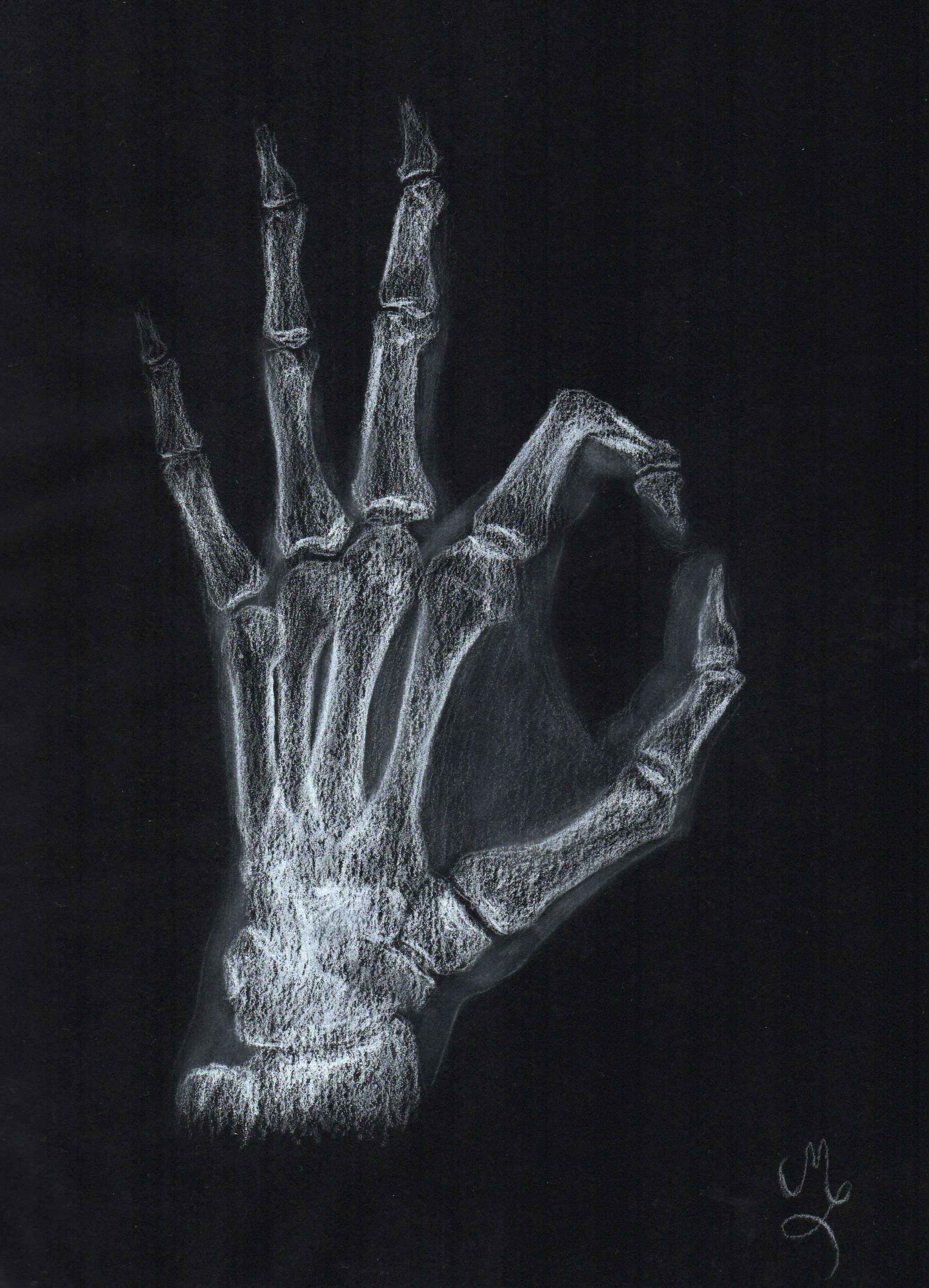Anatomy 2.9.jpeg