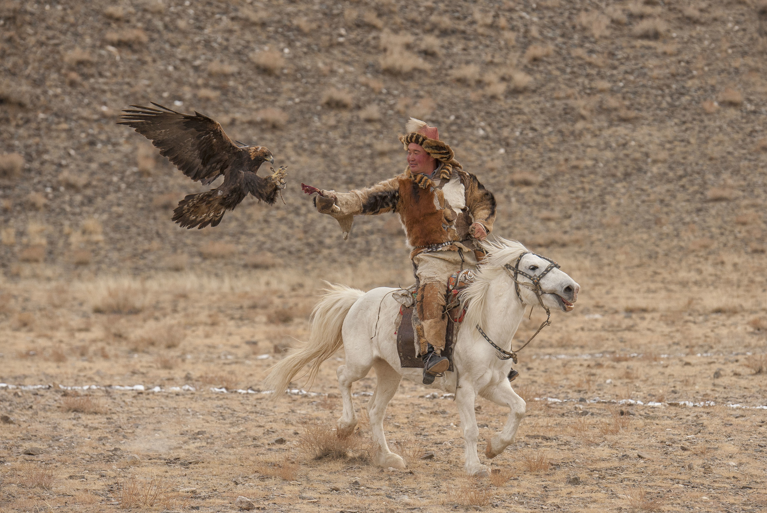 mongolia golden eagle festival.jpg