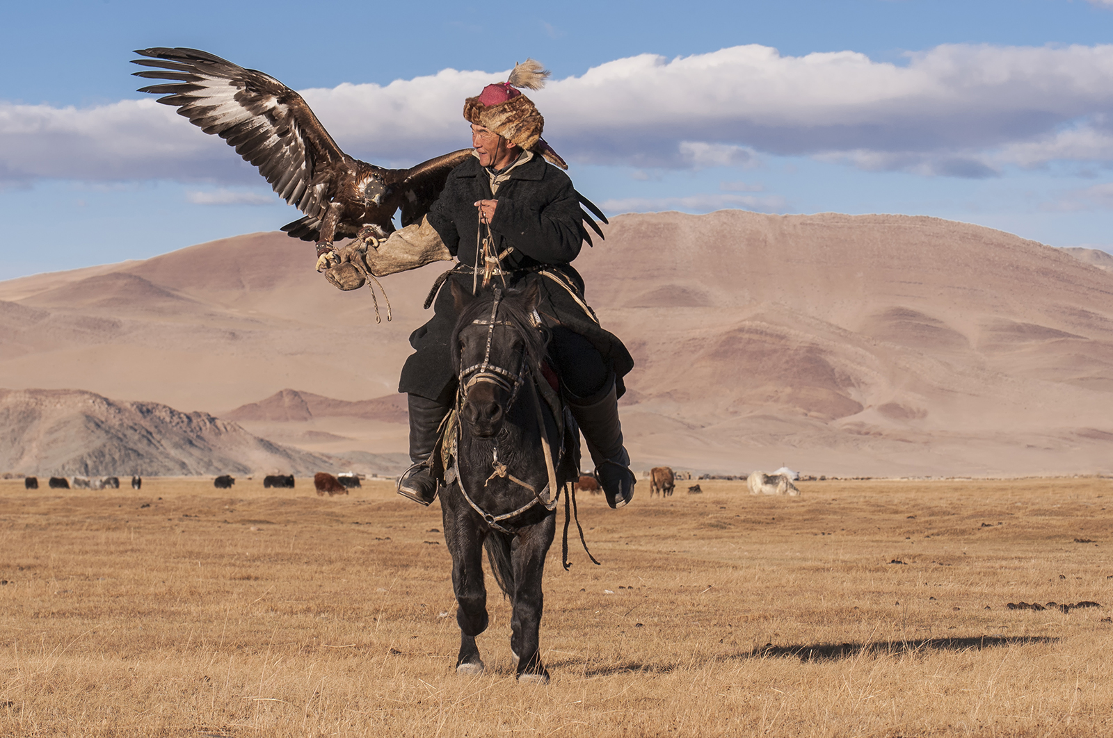 eagle hunter on horseback.jpg