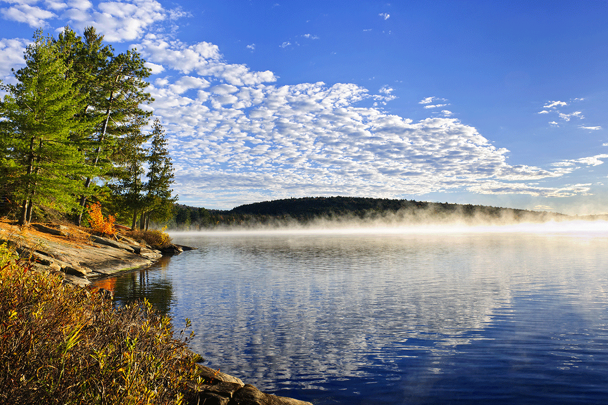 algonquin-autumn.gif