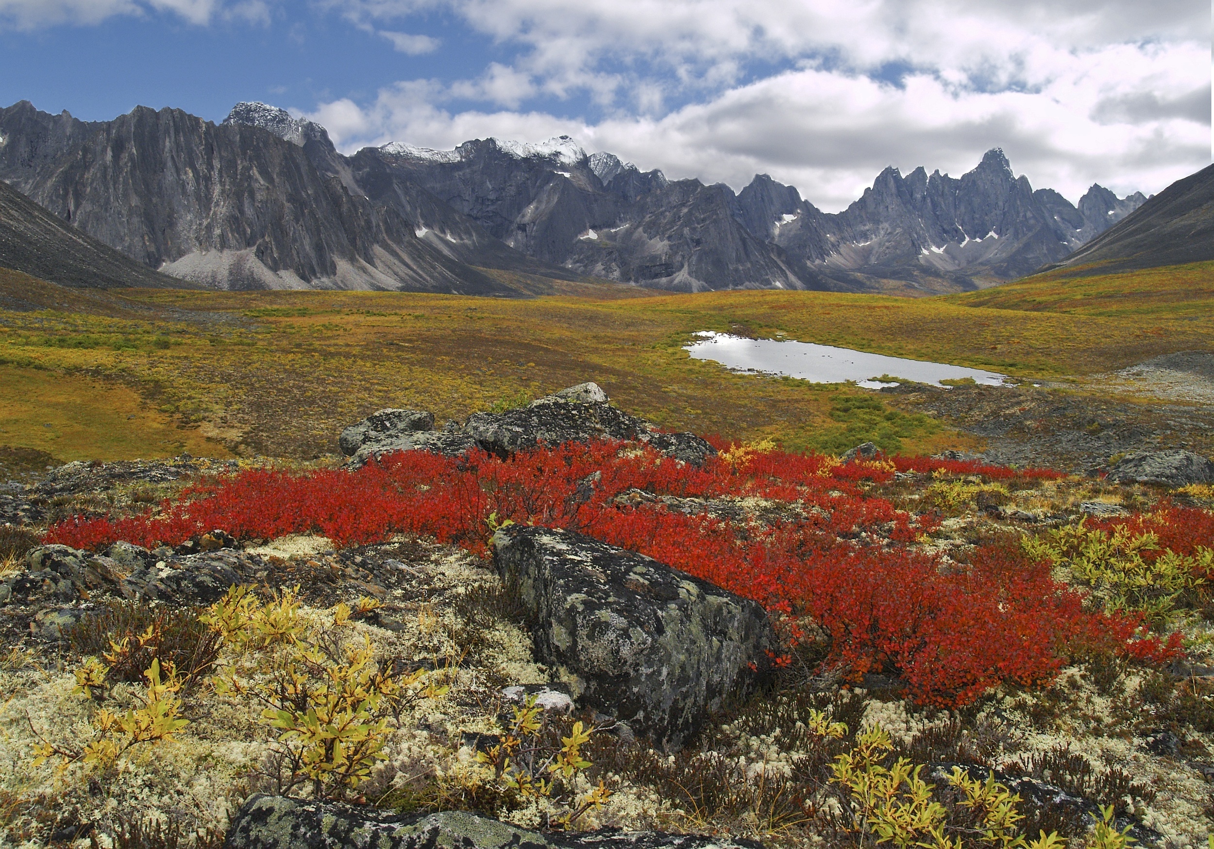 Yukon Colour of the land 
