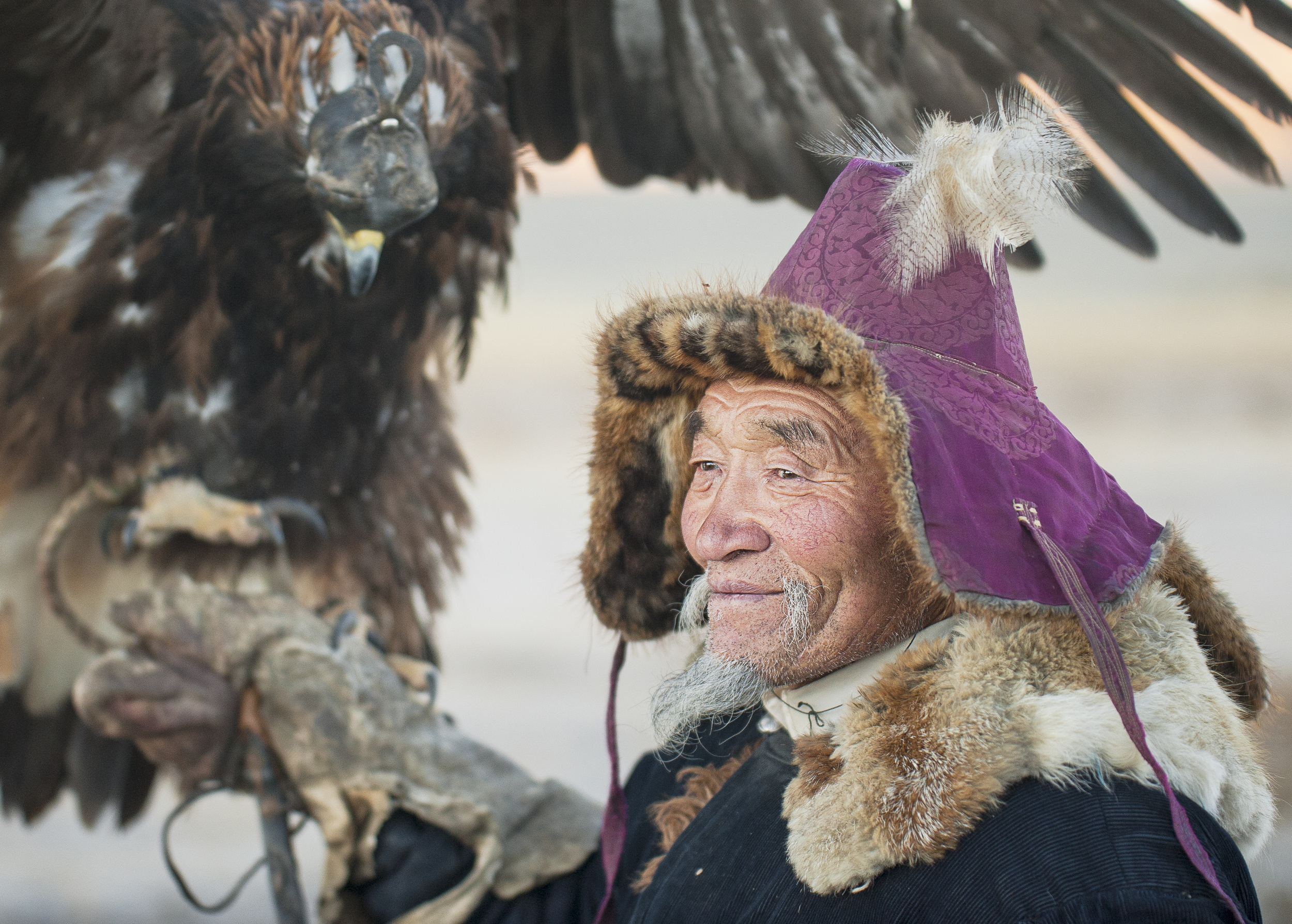 elderly kazakh eagle hunter posign with golden eagle.jpg