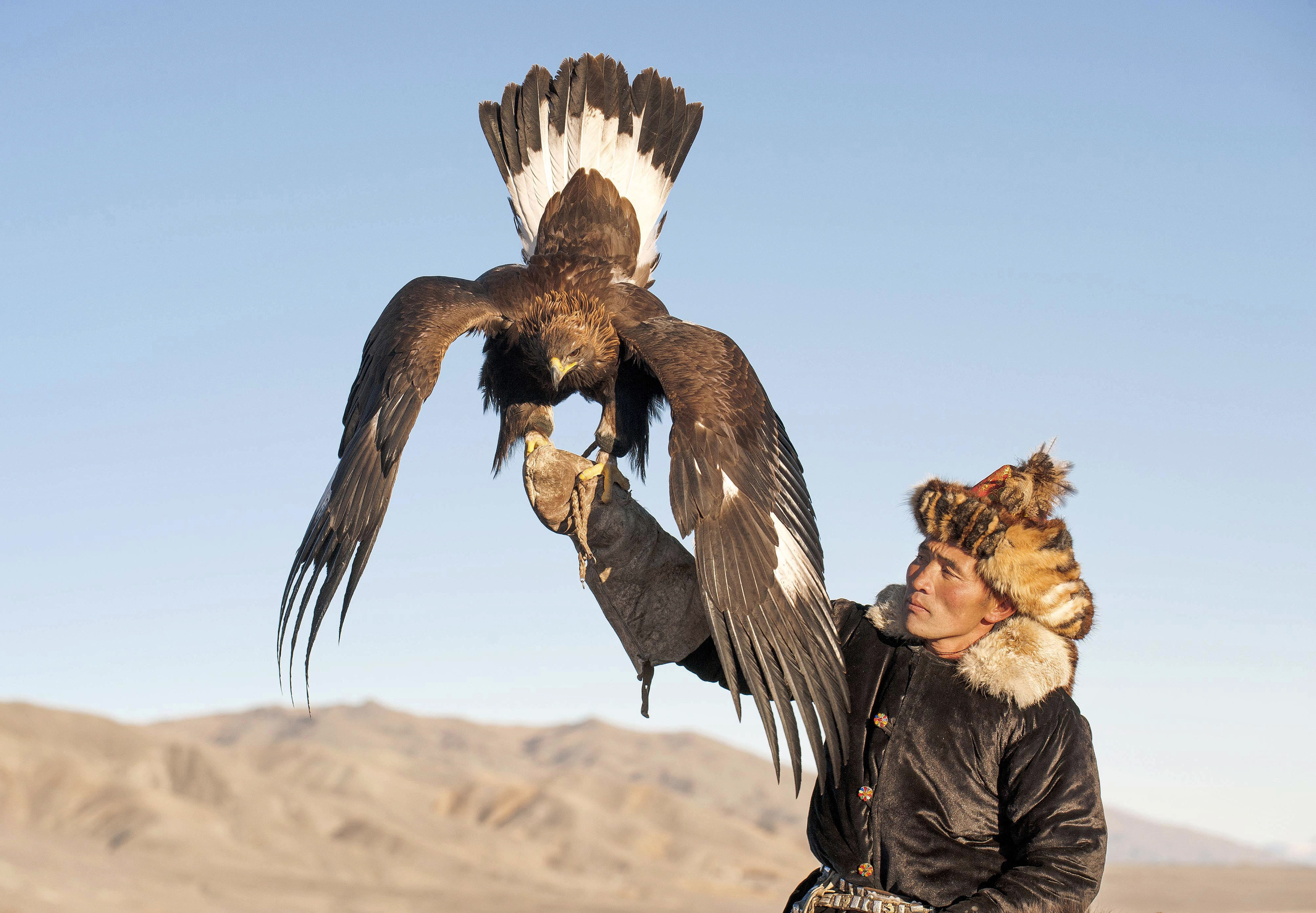 golden eagle and kazak eagle hunter.jpg