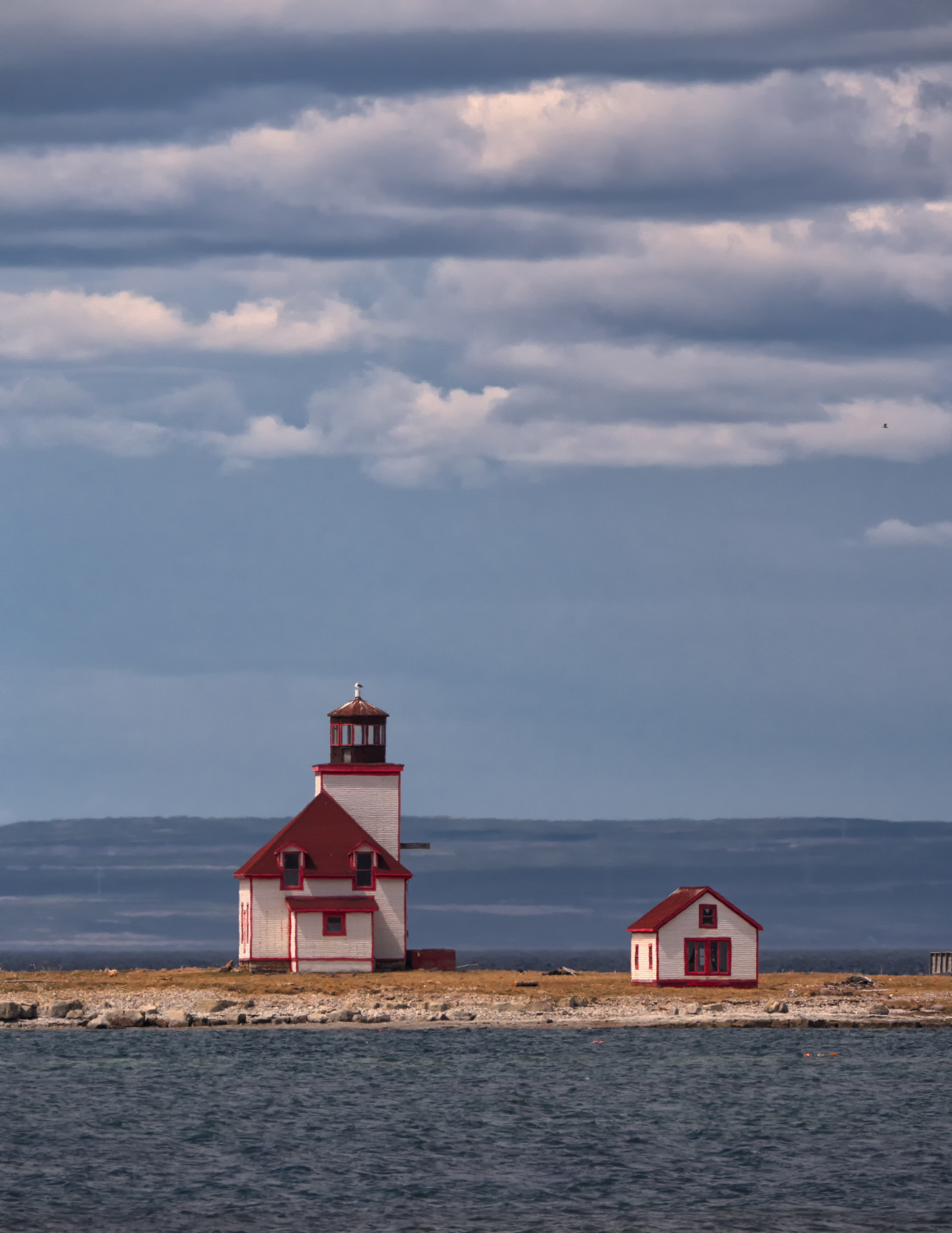 flower coev lighthouse portrait.jpg