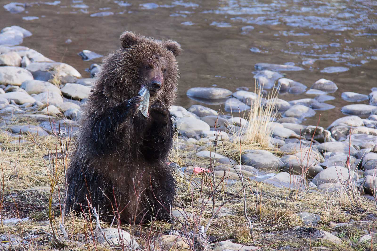 MMR_2013-10-21_6990-Bearbeitet-Bearbeitet.jpg