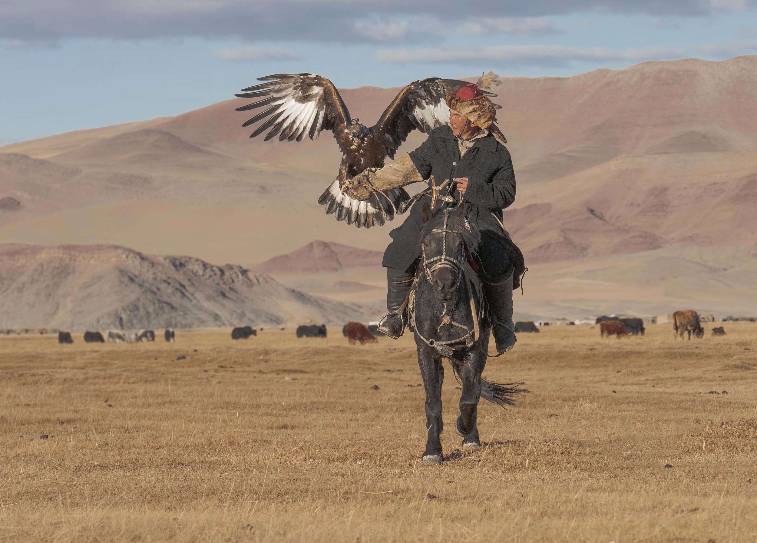 kazakh eagle hunter on horseback.jpg