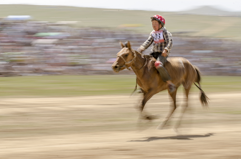 five year old race at the naadam festival.jpg