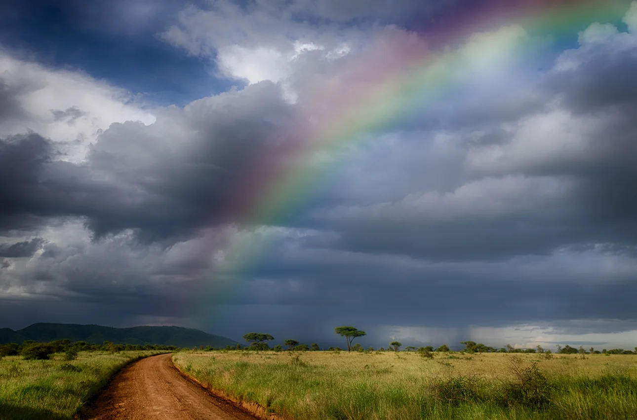 Why Now Is the Time to Join a Photography Workshop