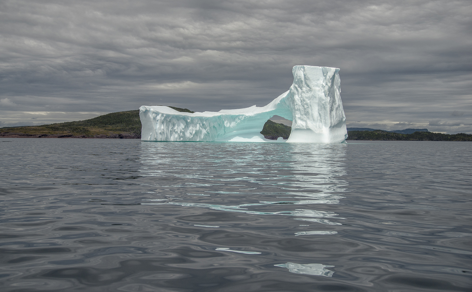 Newfoundland Iceberg 2015.jpg