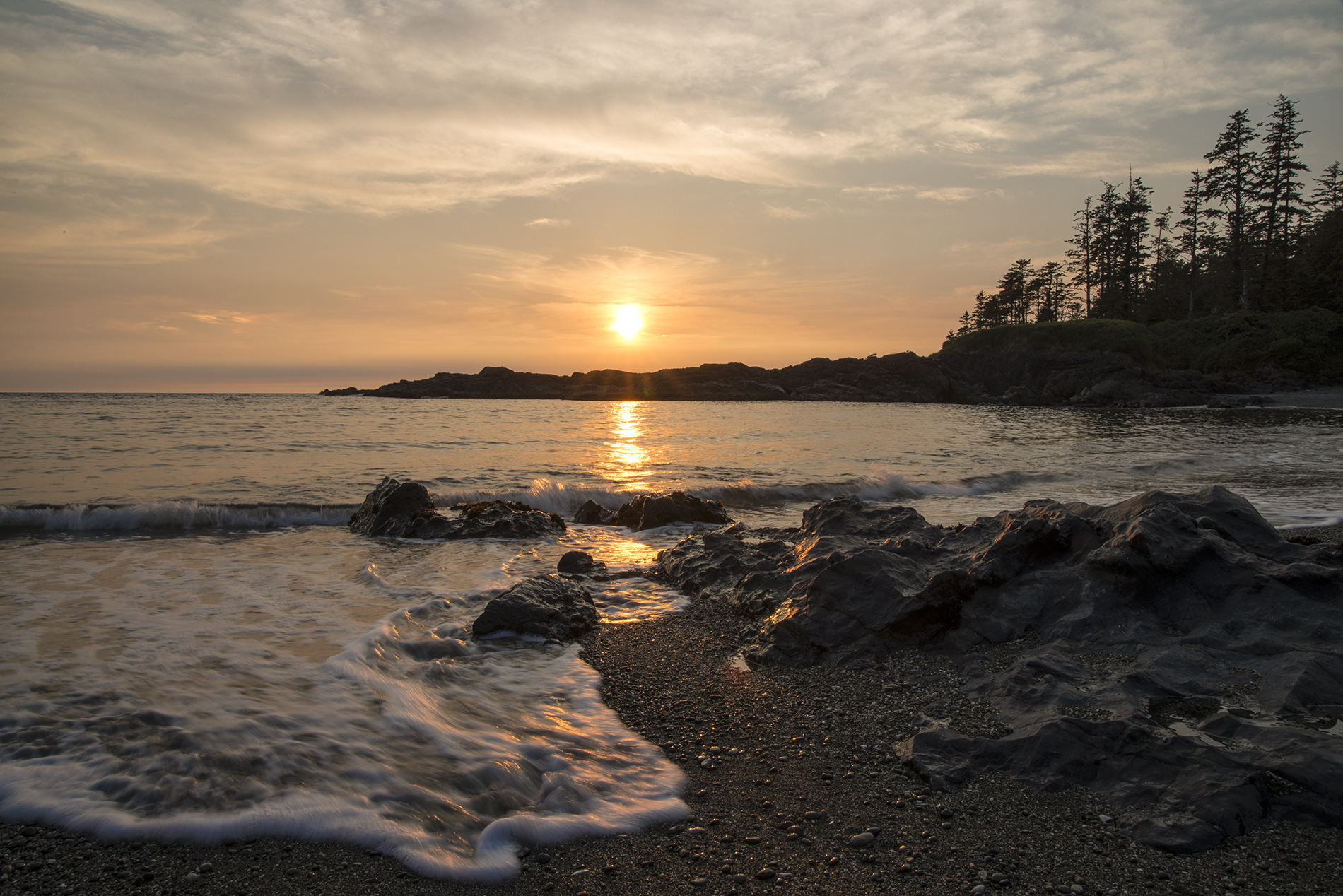 tofino.jpg