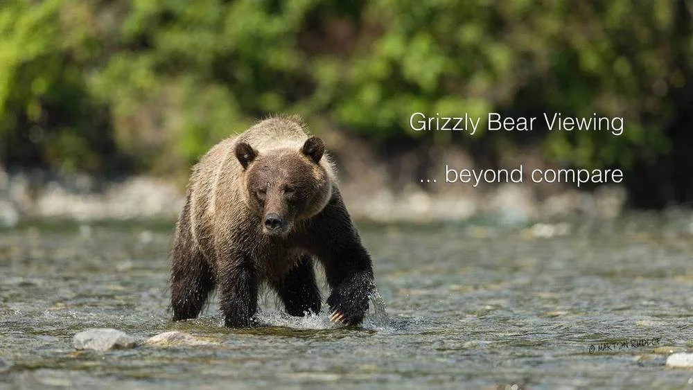 "Being granted a passport to grizzly bear country"