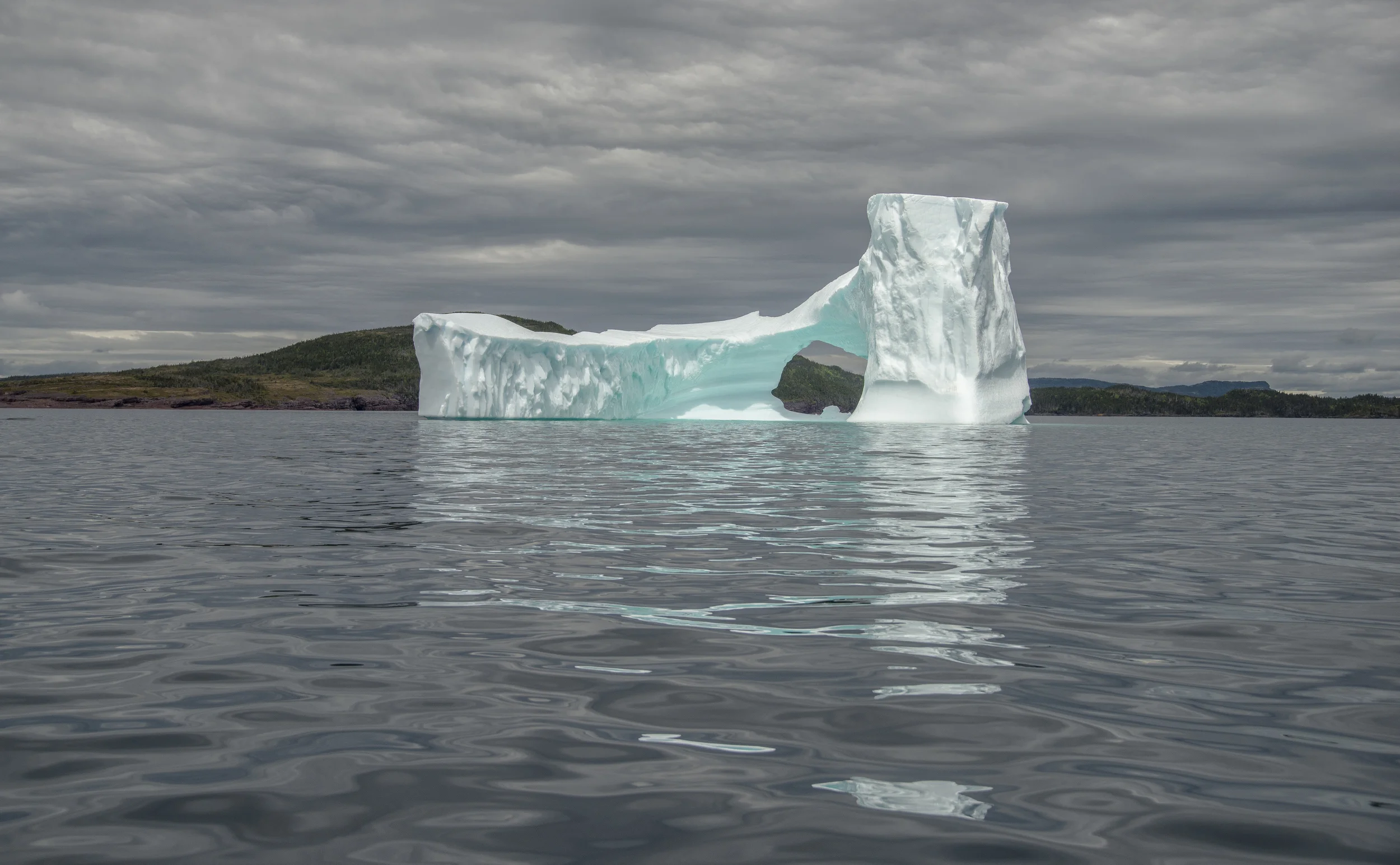 Newfoundland+Iceberg+2015.jpg
