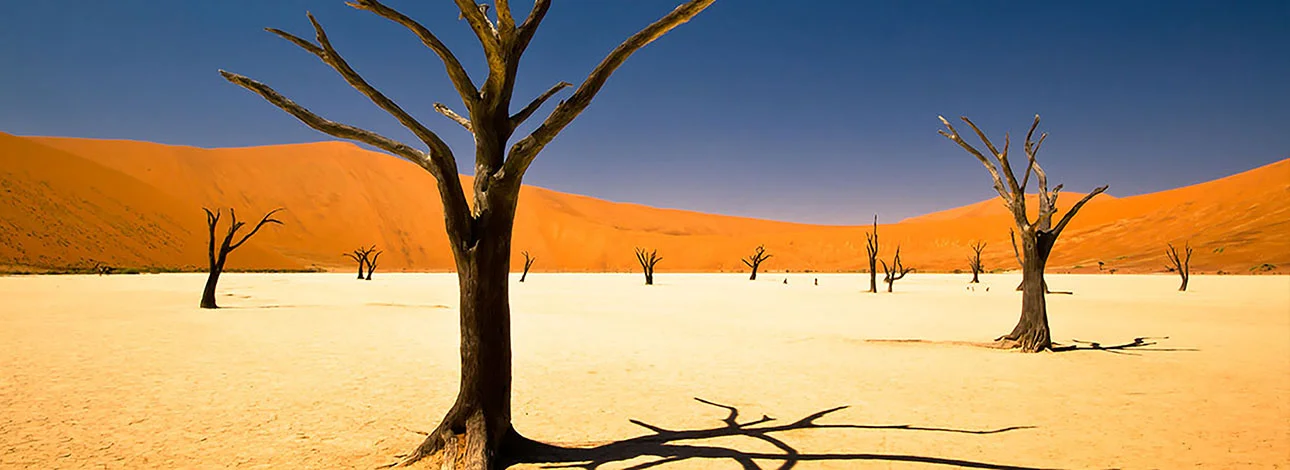 Africa-Namibia-and-Bostwana-Dunes-Delta-and-the-Kalahari-MH.jpg