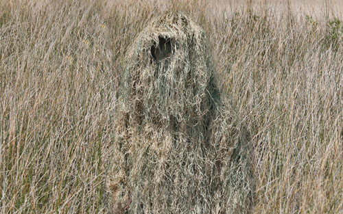 camouflage-shape.jpg