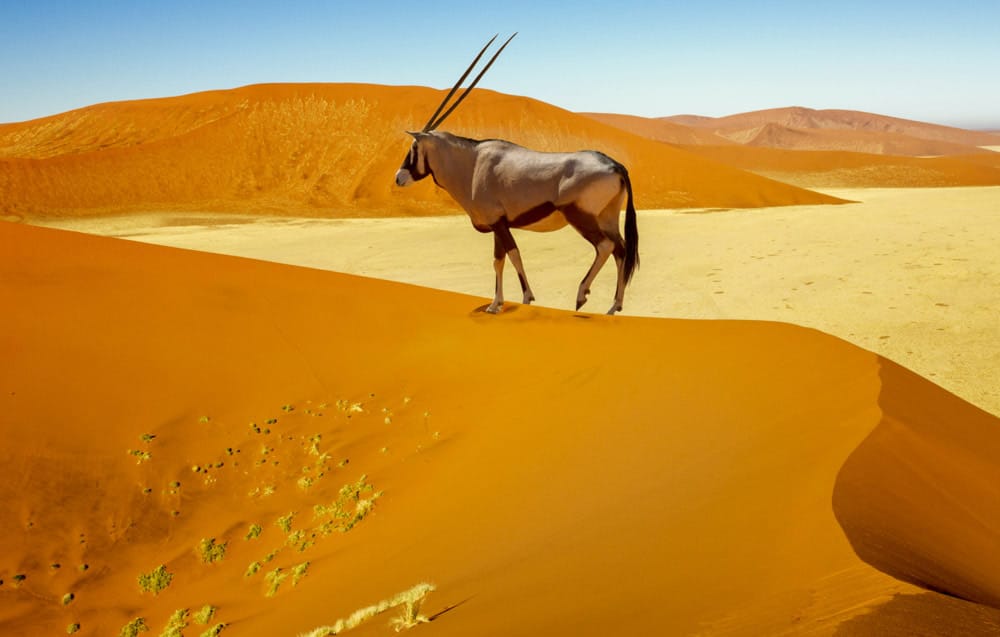 namibia-feature-image.jpg