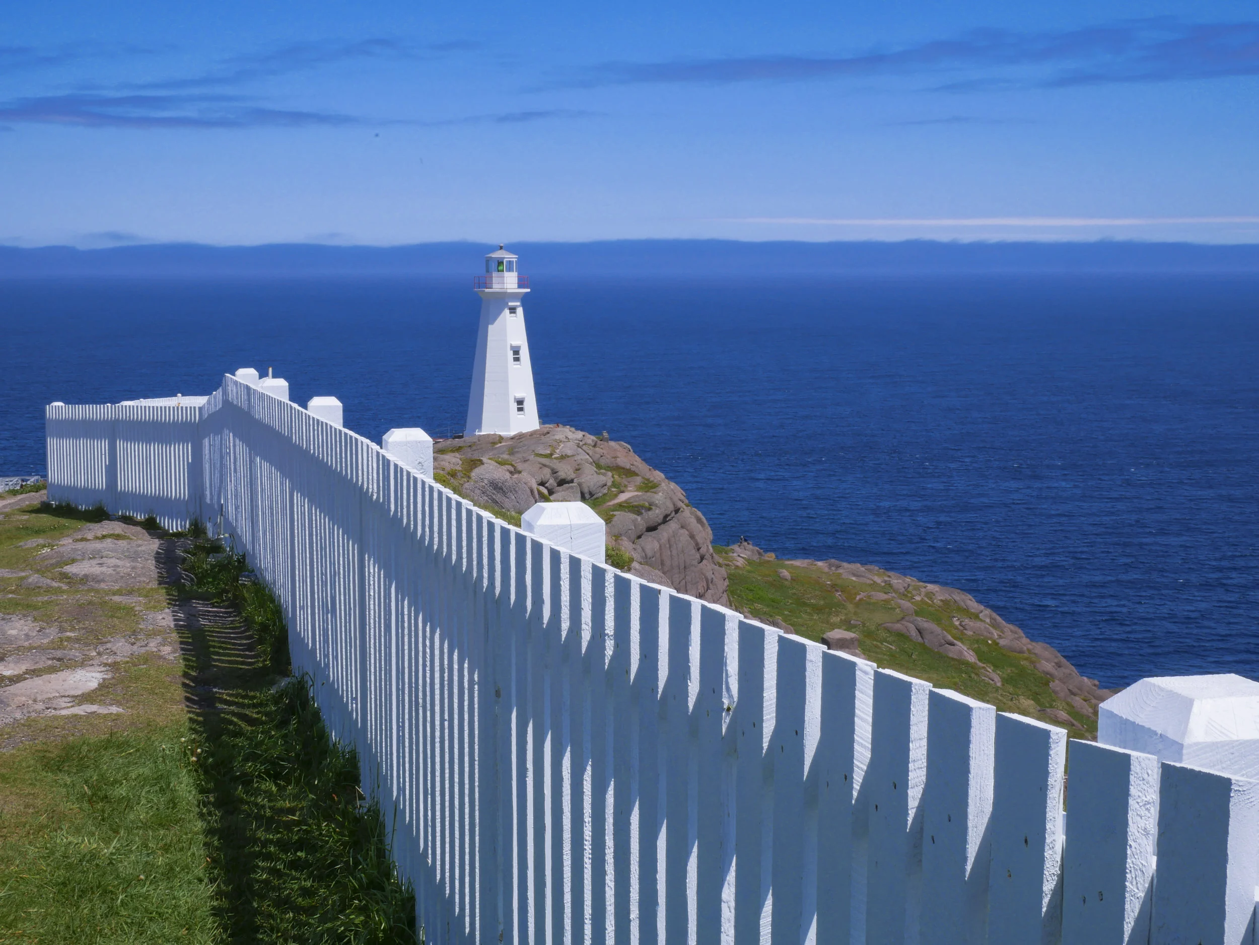 Come spend time with me in Newfoundland in the summer