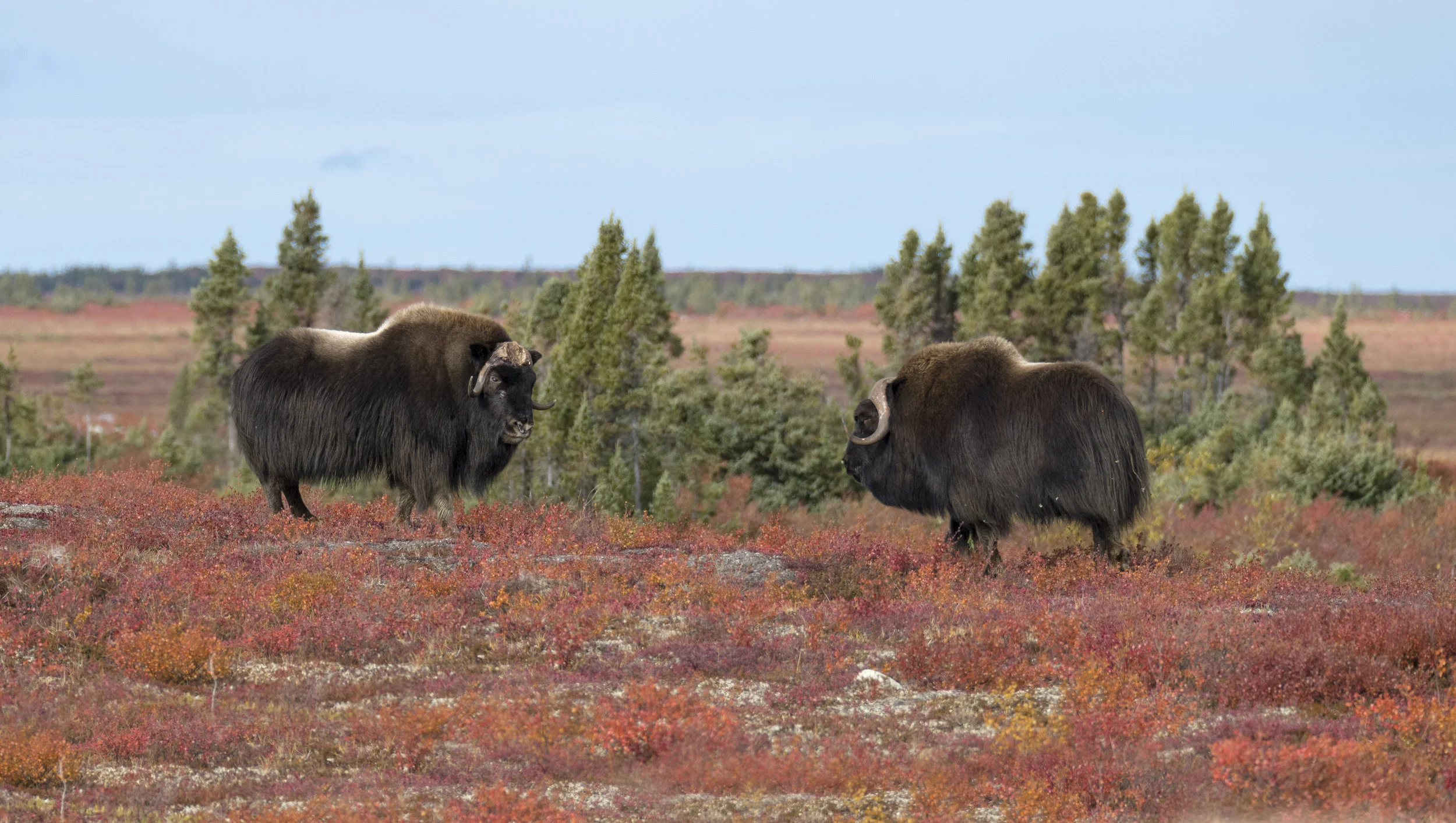 A "Photo Encounter" I will always remember