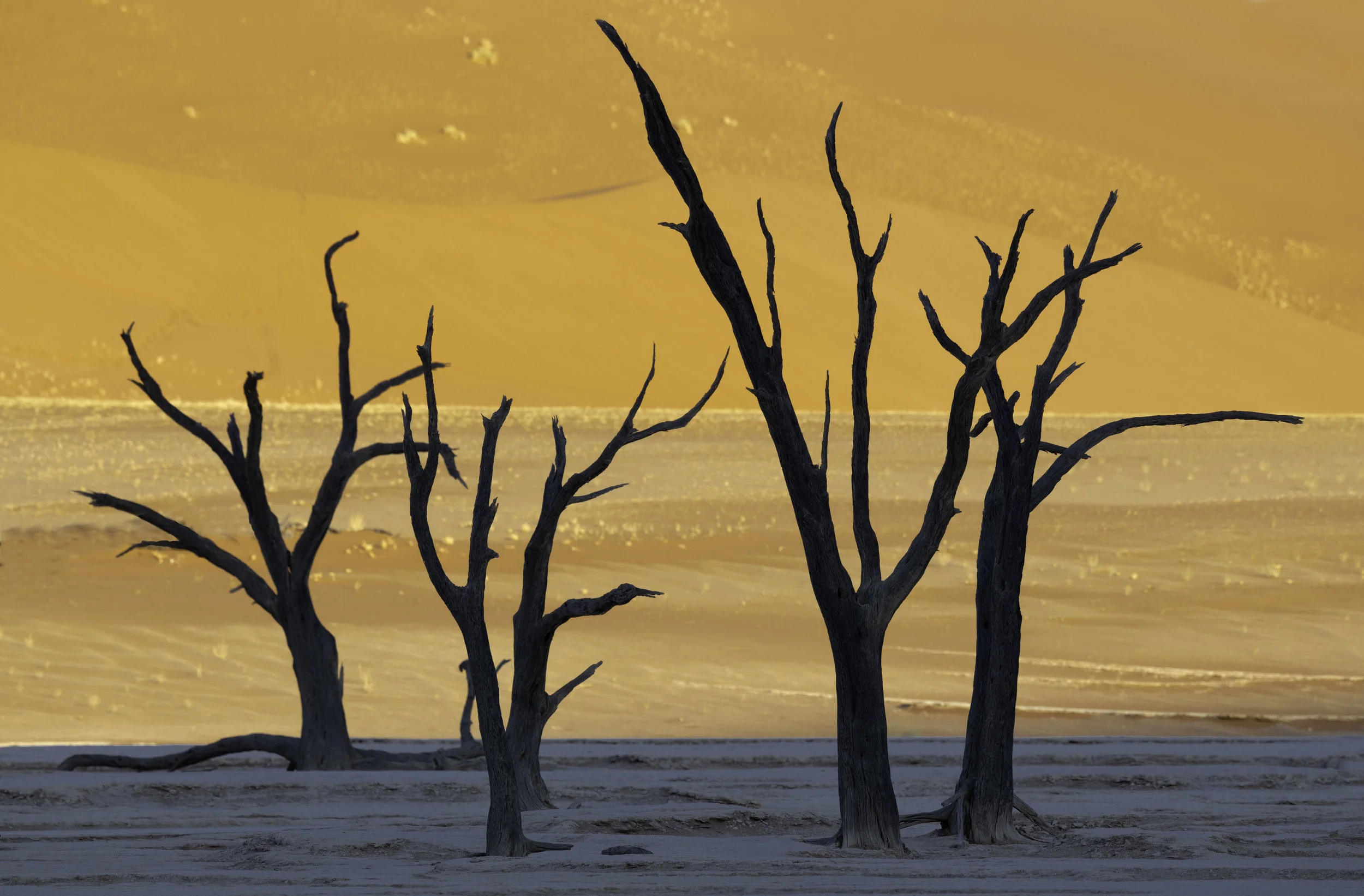 Trip Report - Namibia Photo Safari - March 2019