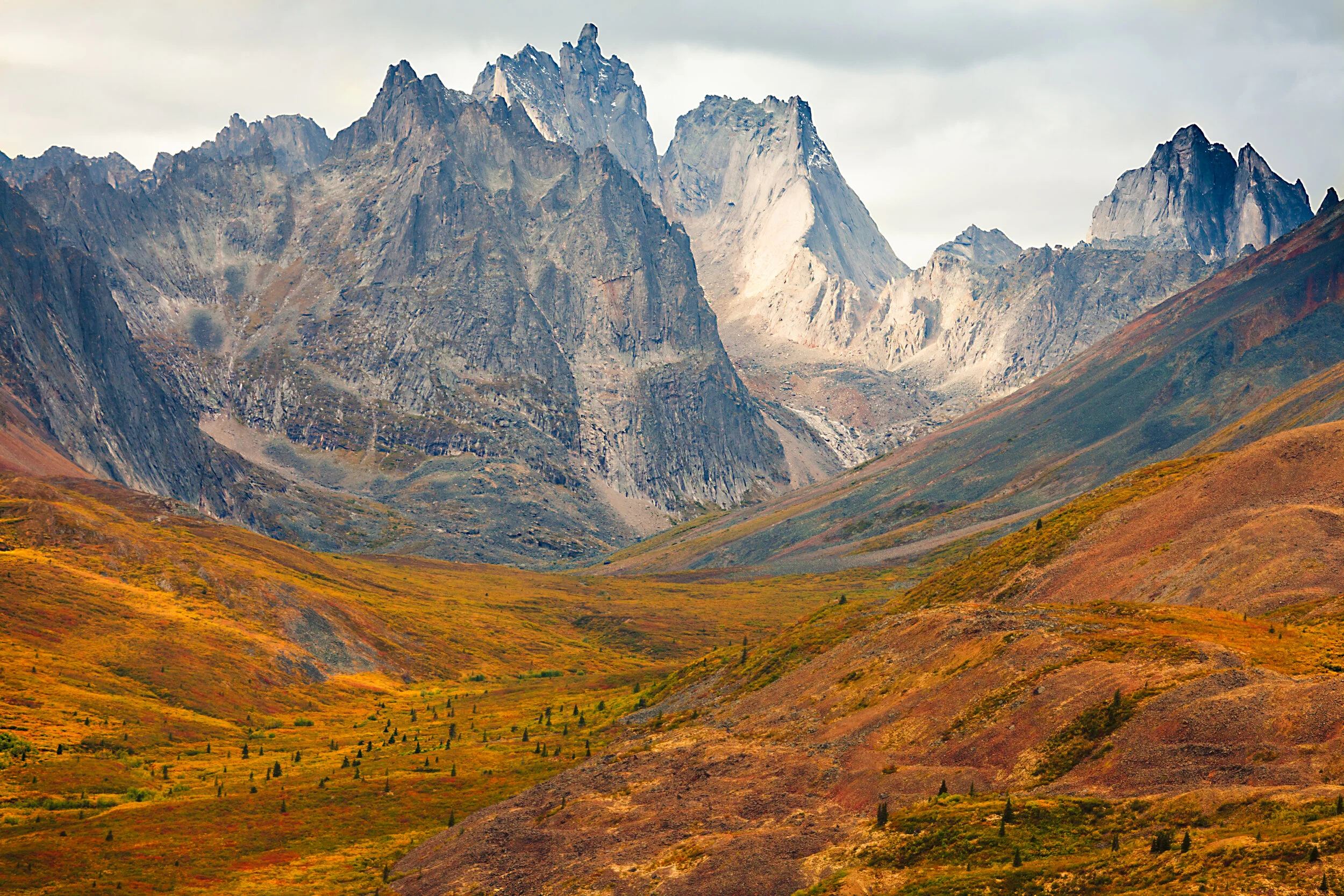 Why You Should Consider a Yukon Photo Workshop