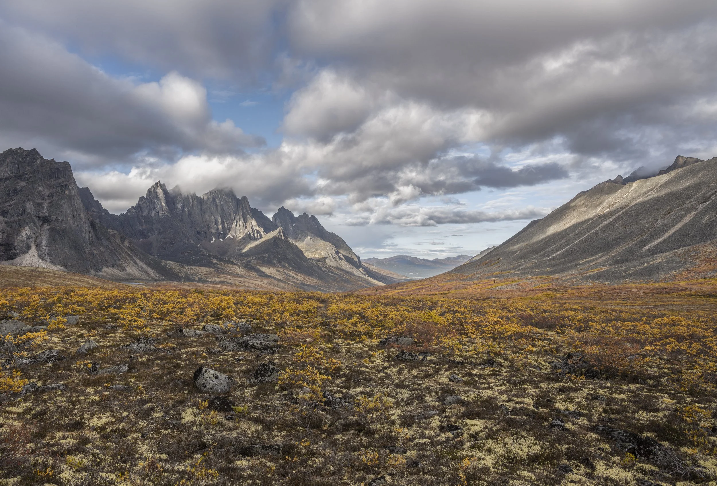 A Photographers Guide to Tombstone Territorial Park in the Yukon