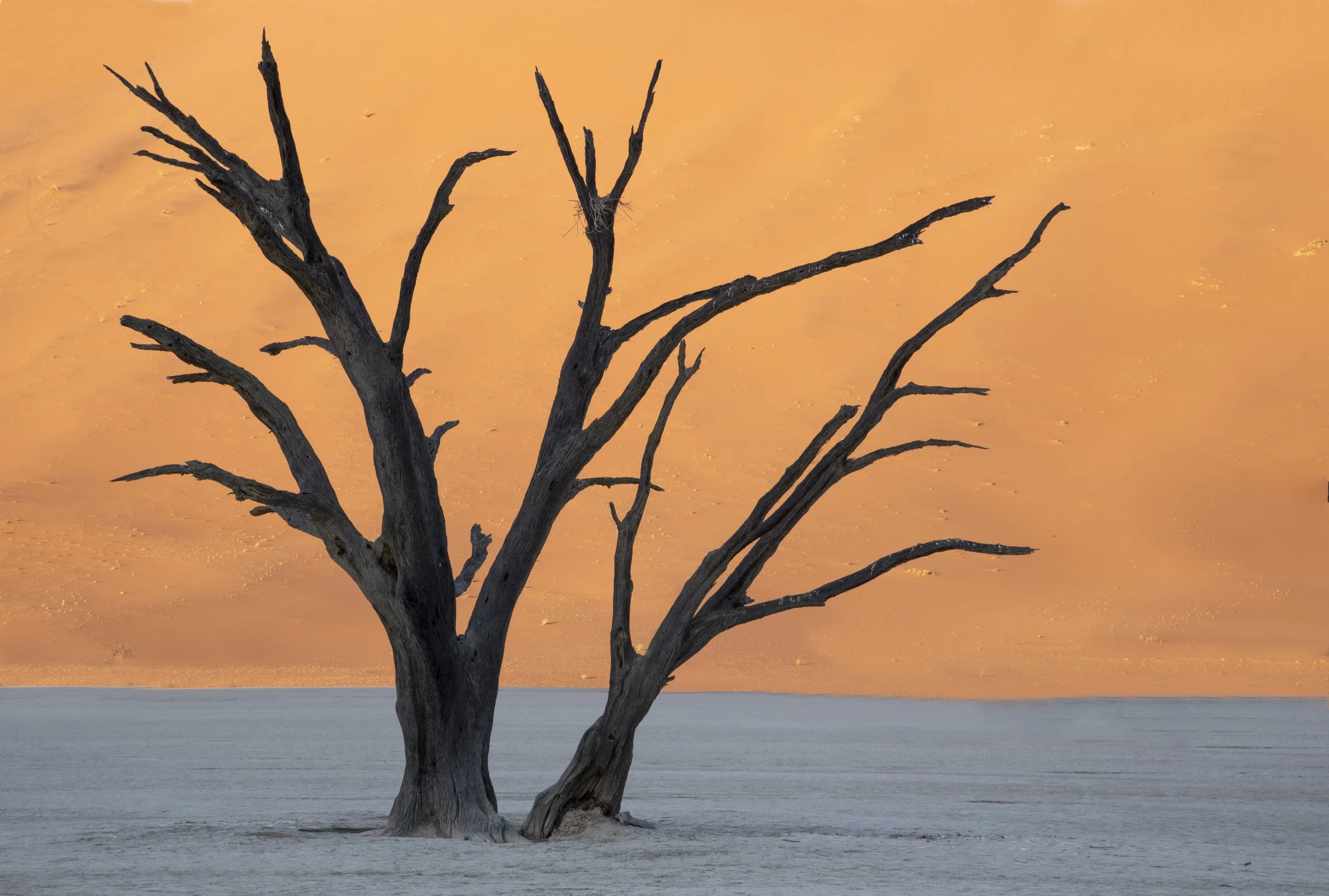 Read What It Is Like On A Photography Safari In Namibia