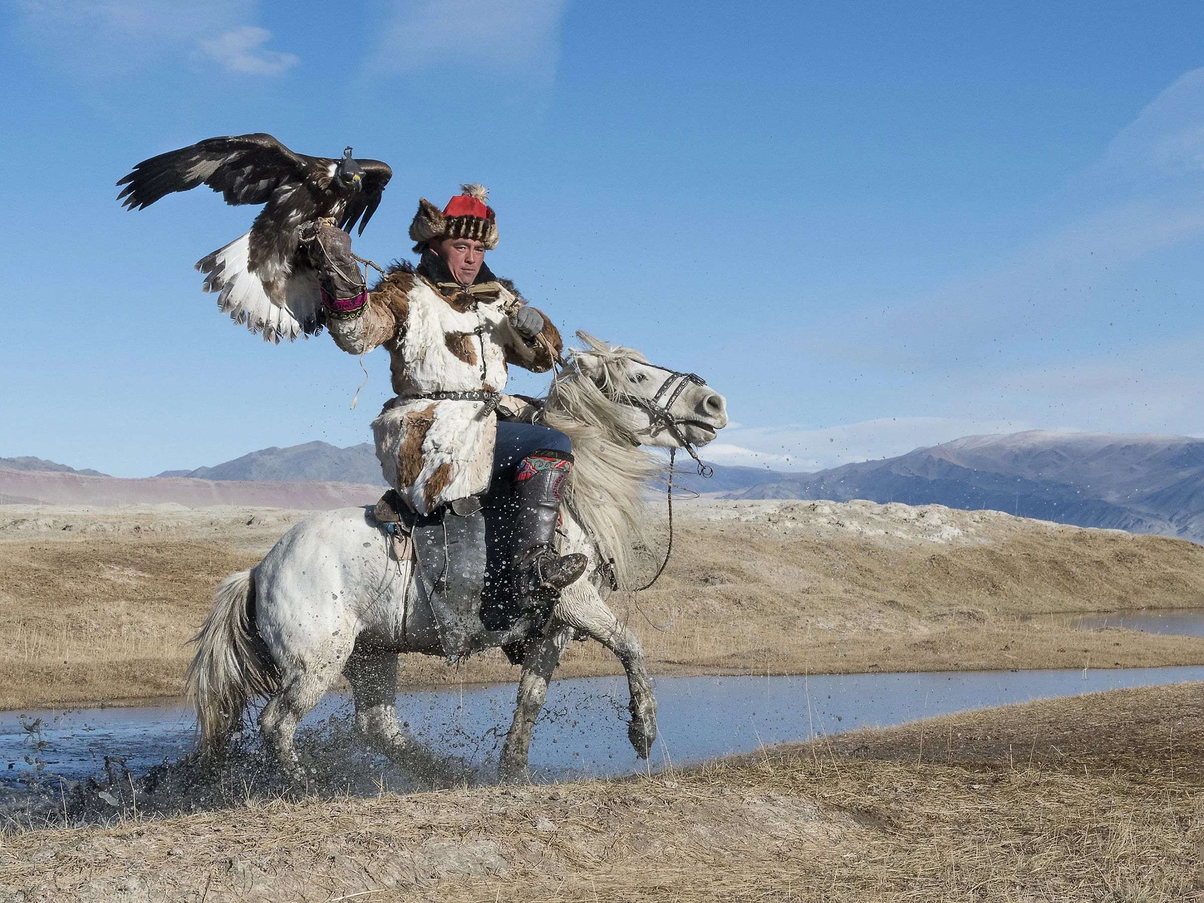 Trip Report – Mongolia Photography Workshop – October 2023