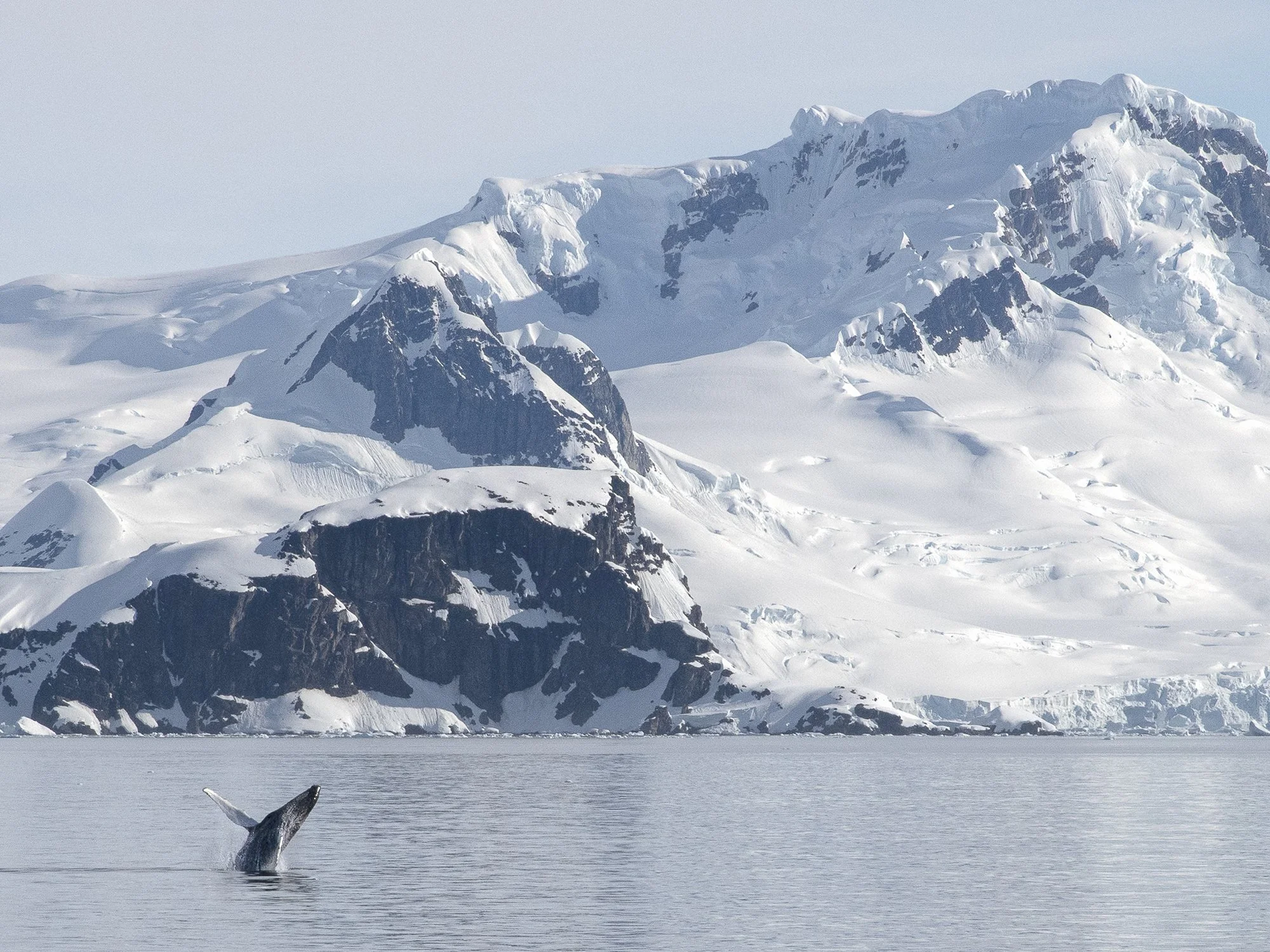 What’s It Really Like to Travel to Antarctica on an Expedition Cruise?