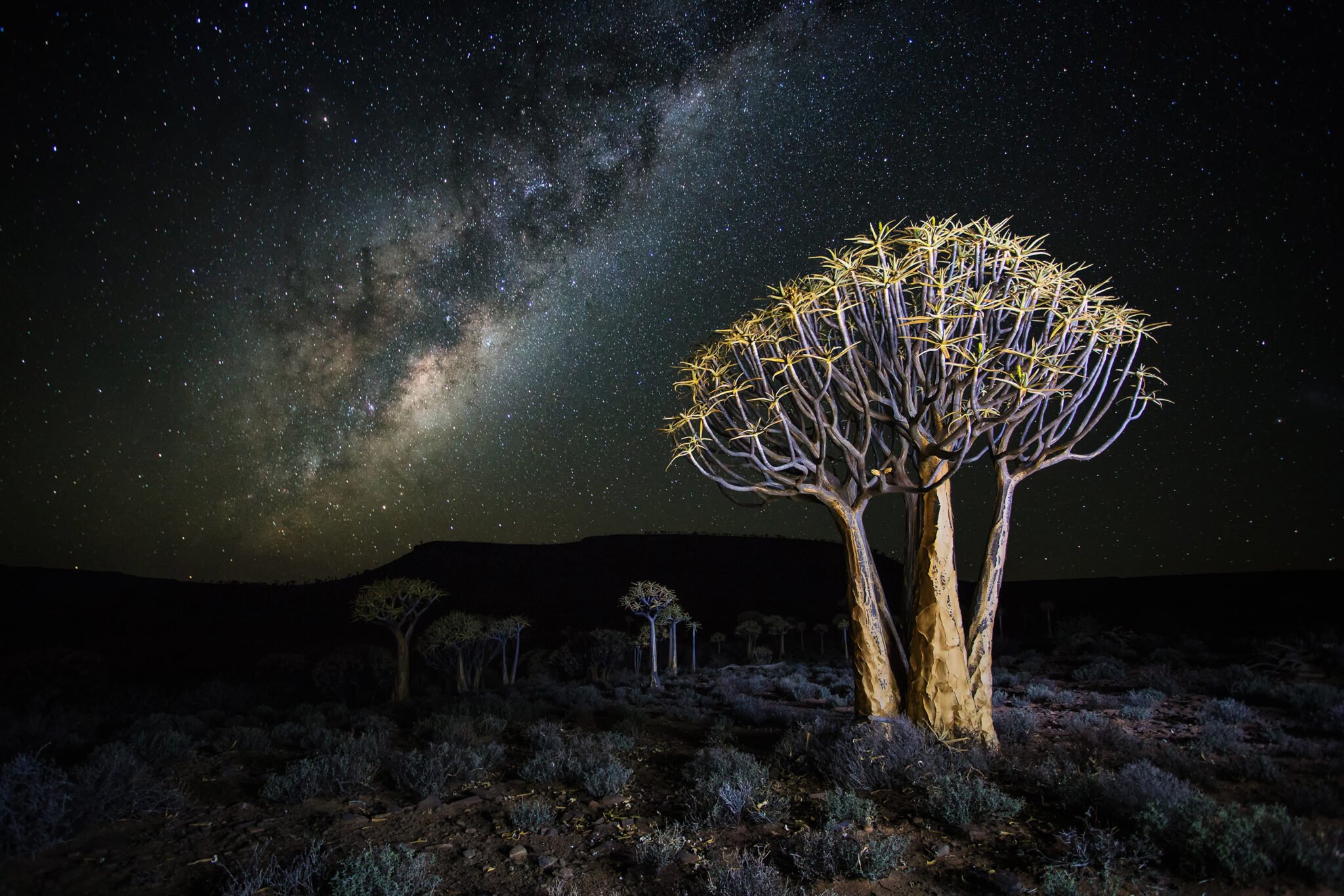 Trip Report: Namibia Photo Tour