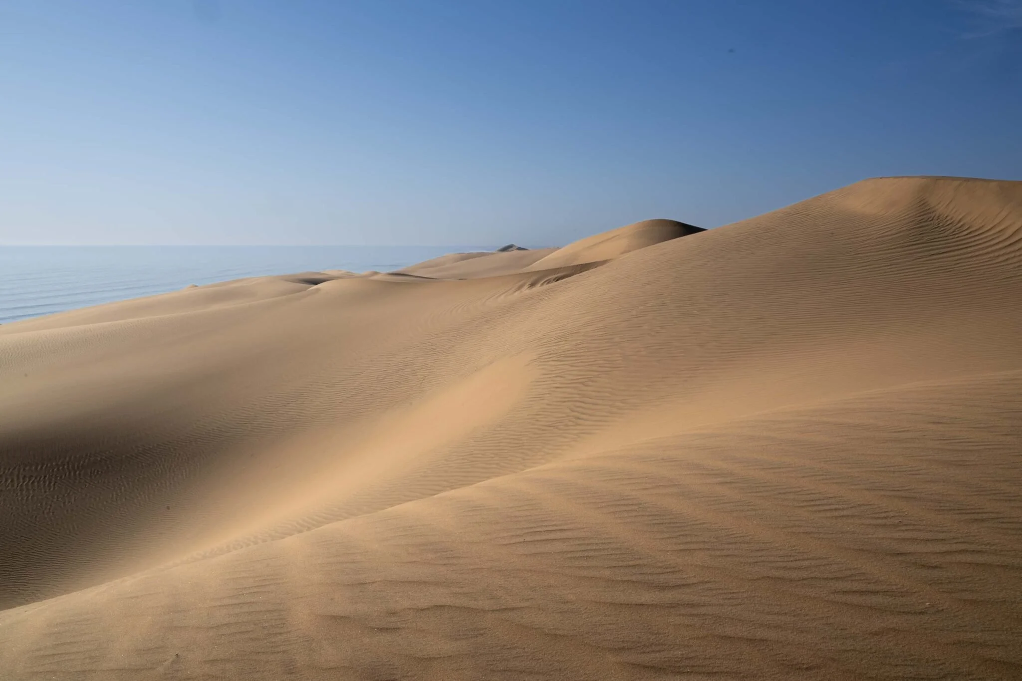 sandwich harbour.jpg