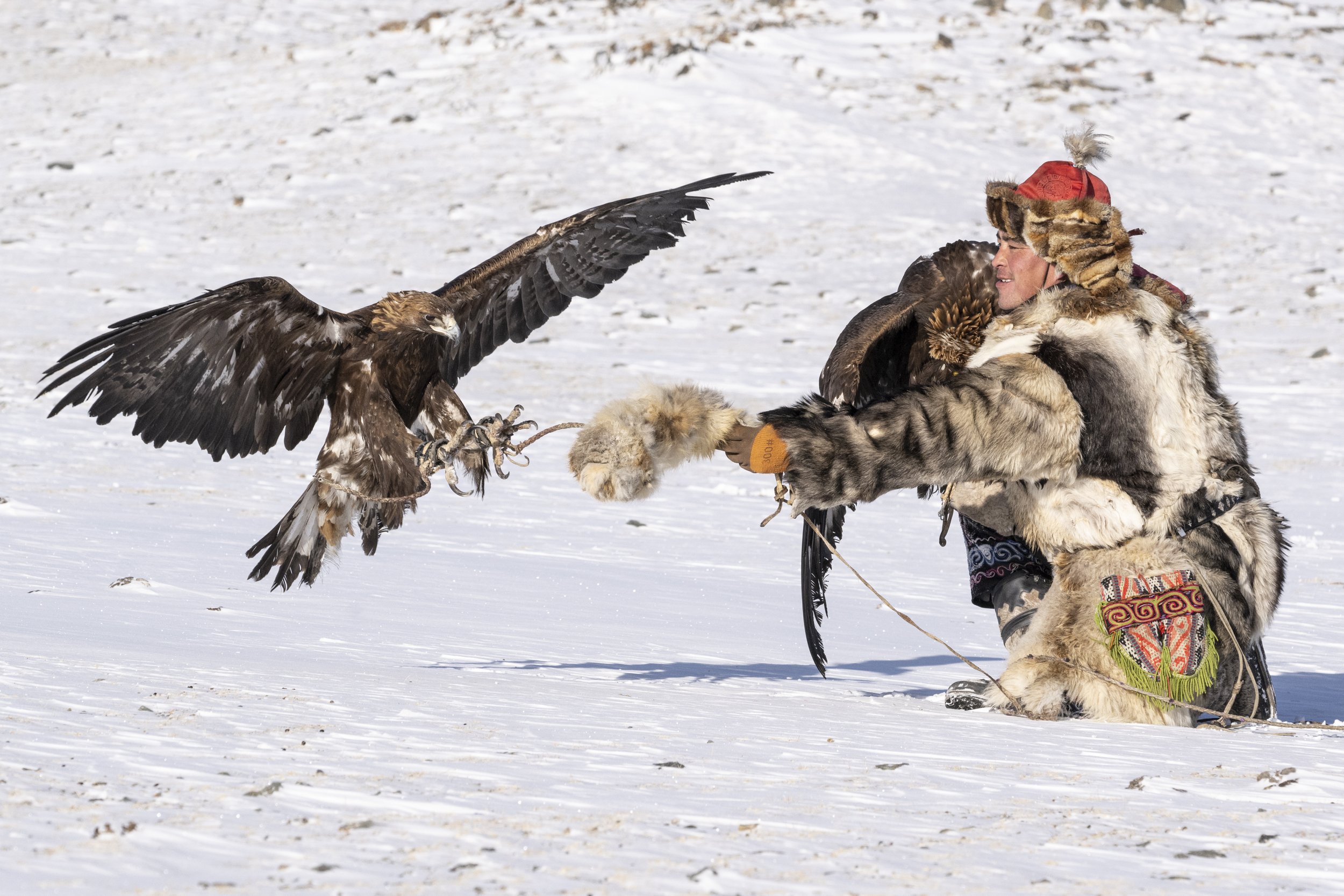 Eagle Hunting Techniques