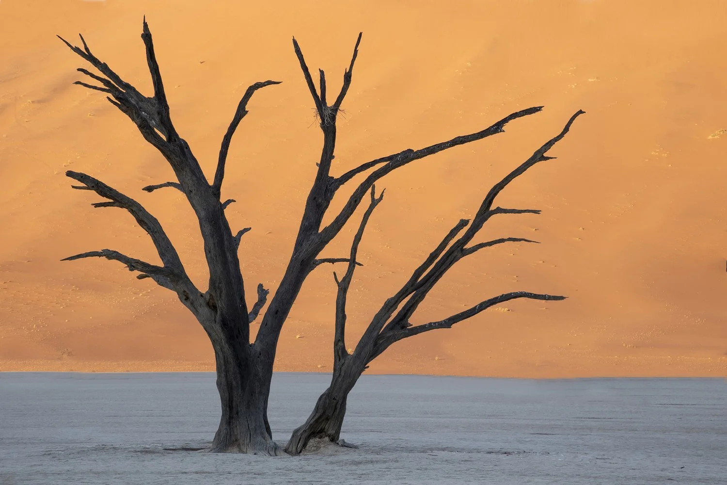 A Namibia Photo Tour Should Be On Your Shortlist Of Destinations